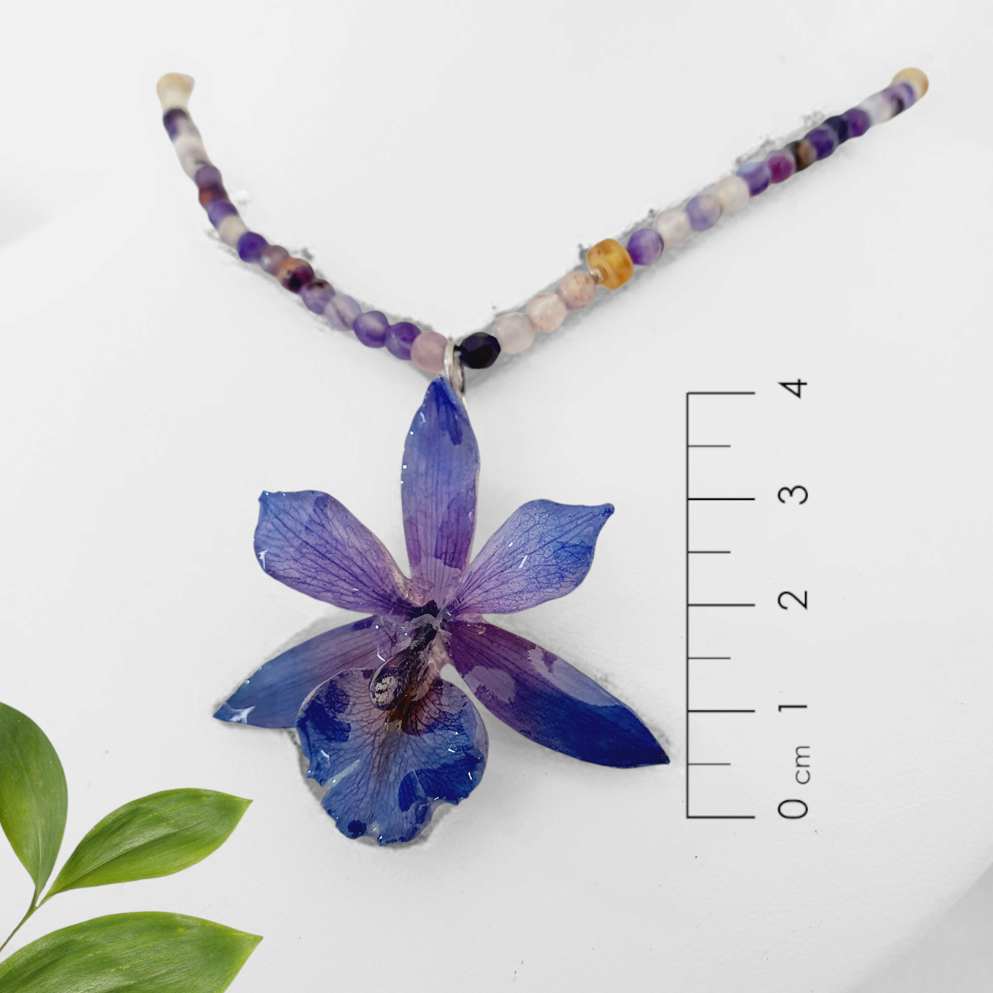 Orquidea morada