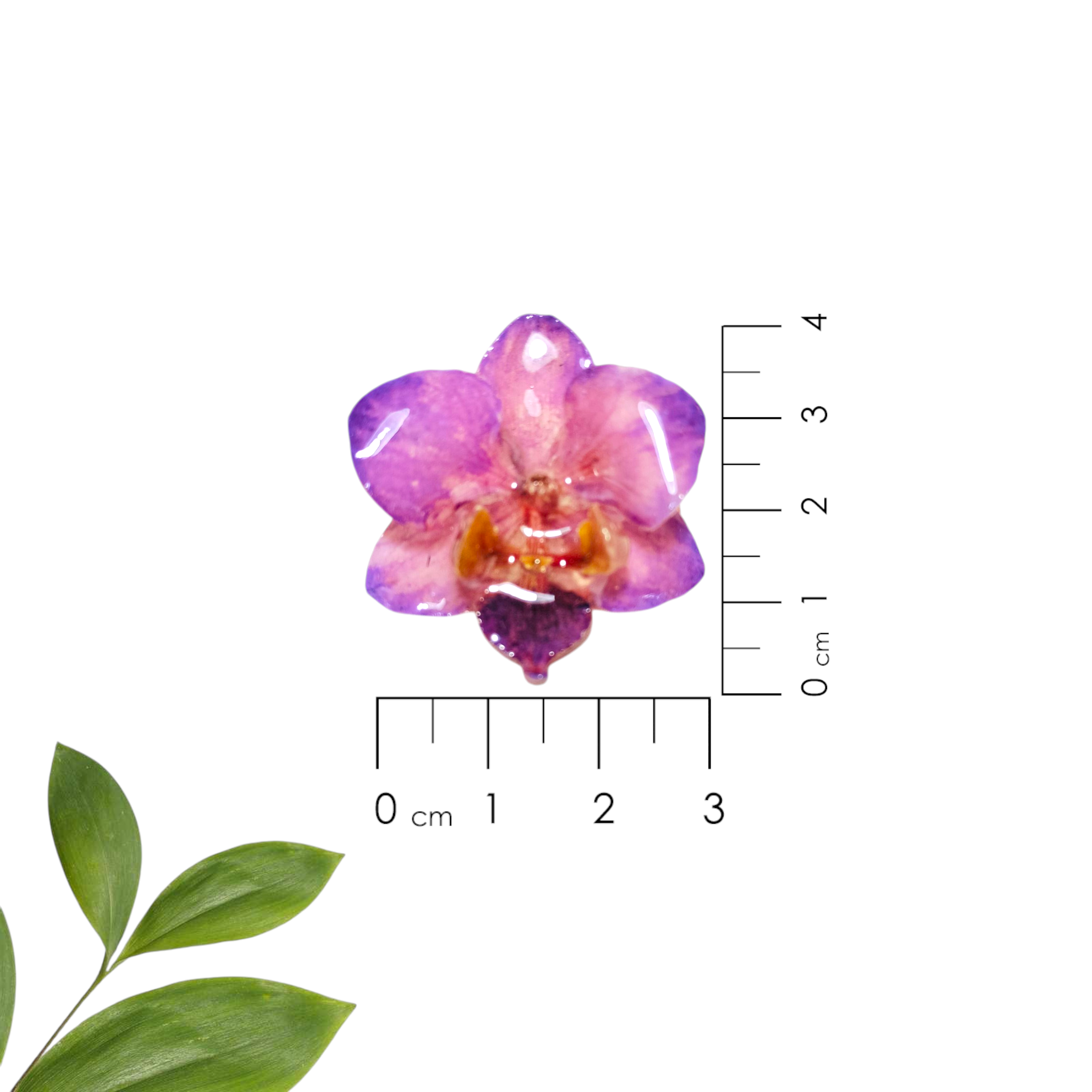 Anillo de Orquídea Lila