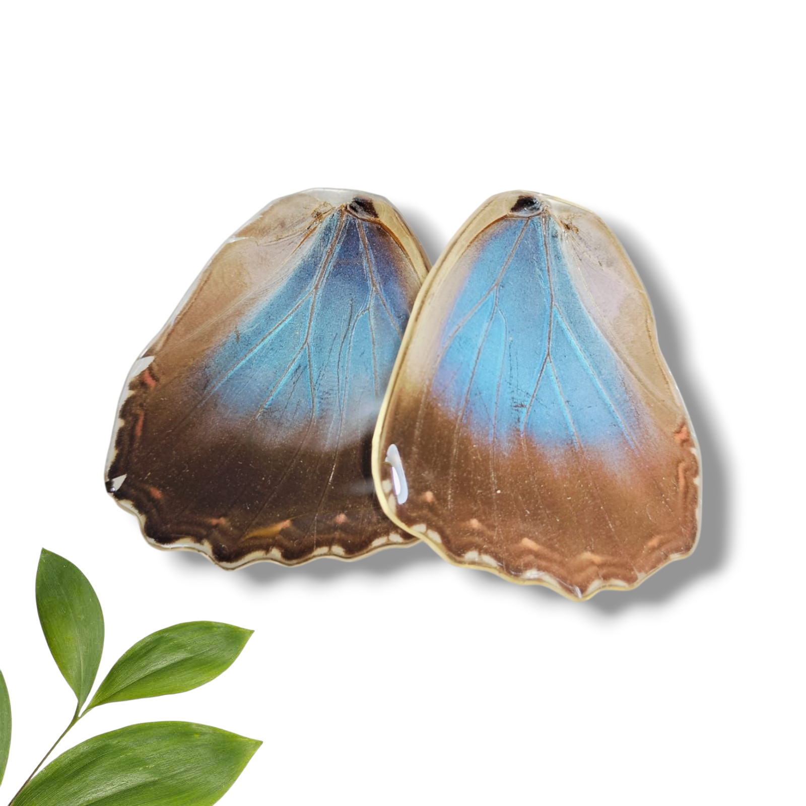Aretes de Ala de Mariposa Azul