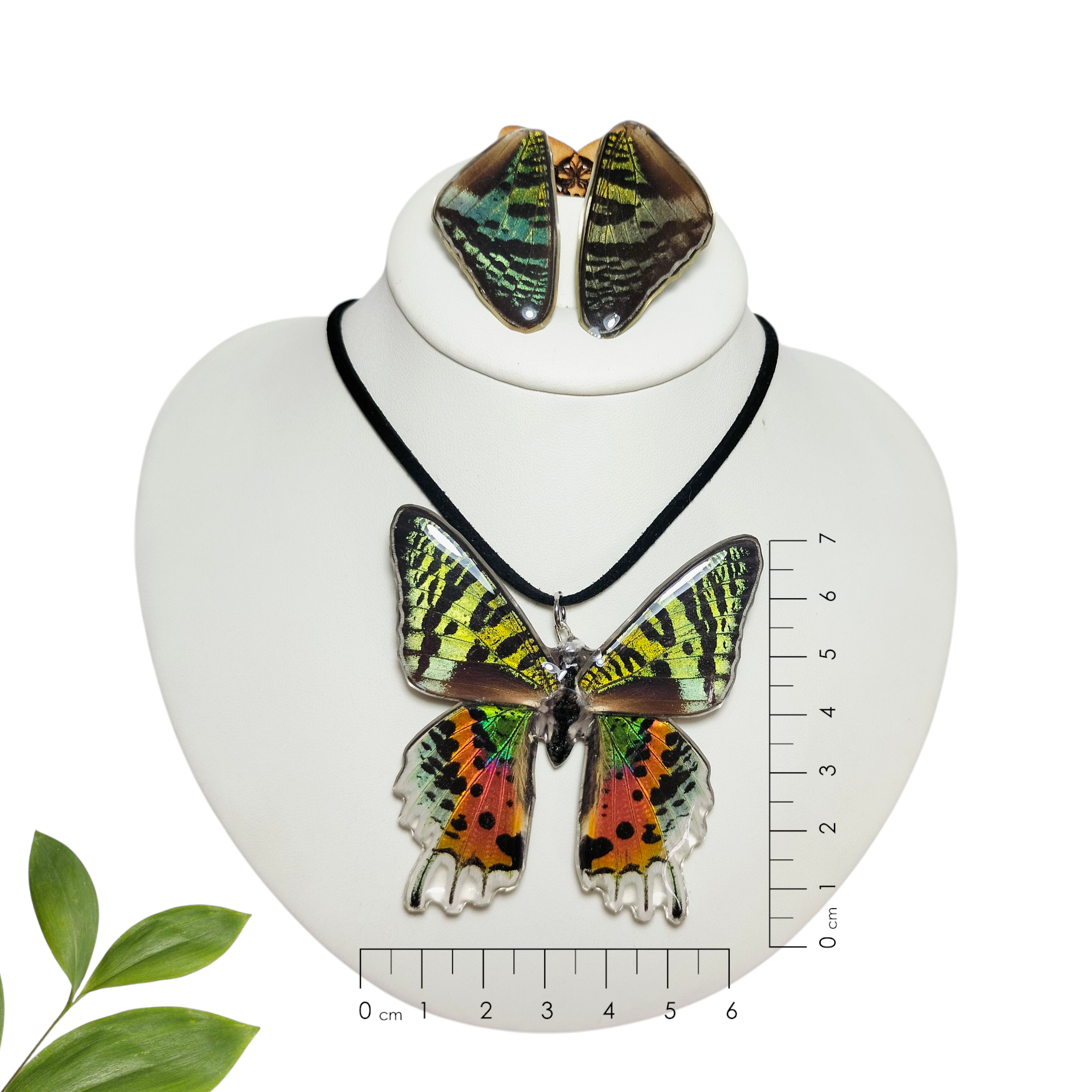 Juego de Mariposa de Madagascar