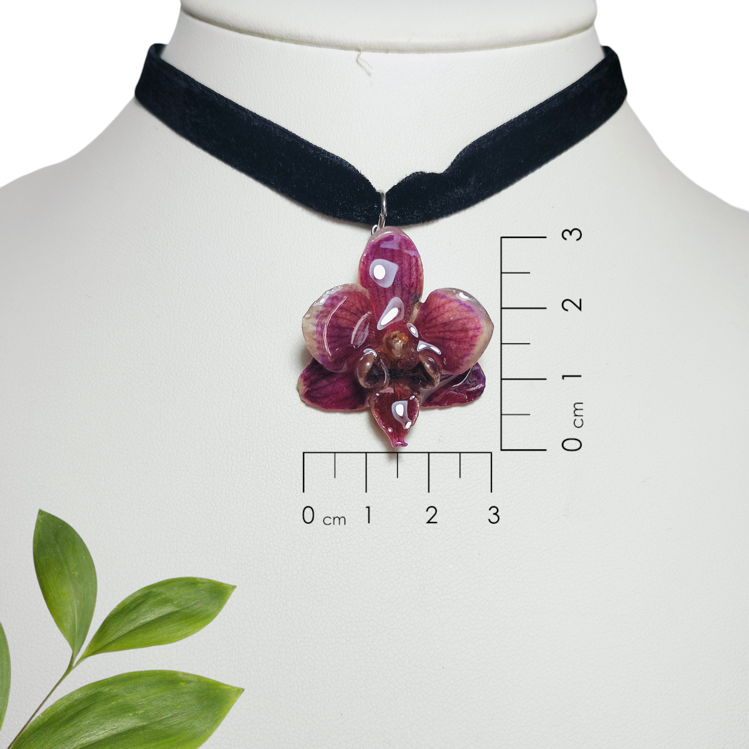 Orquídea Morada con Shocker