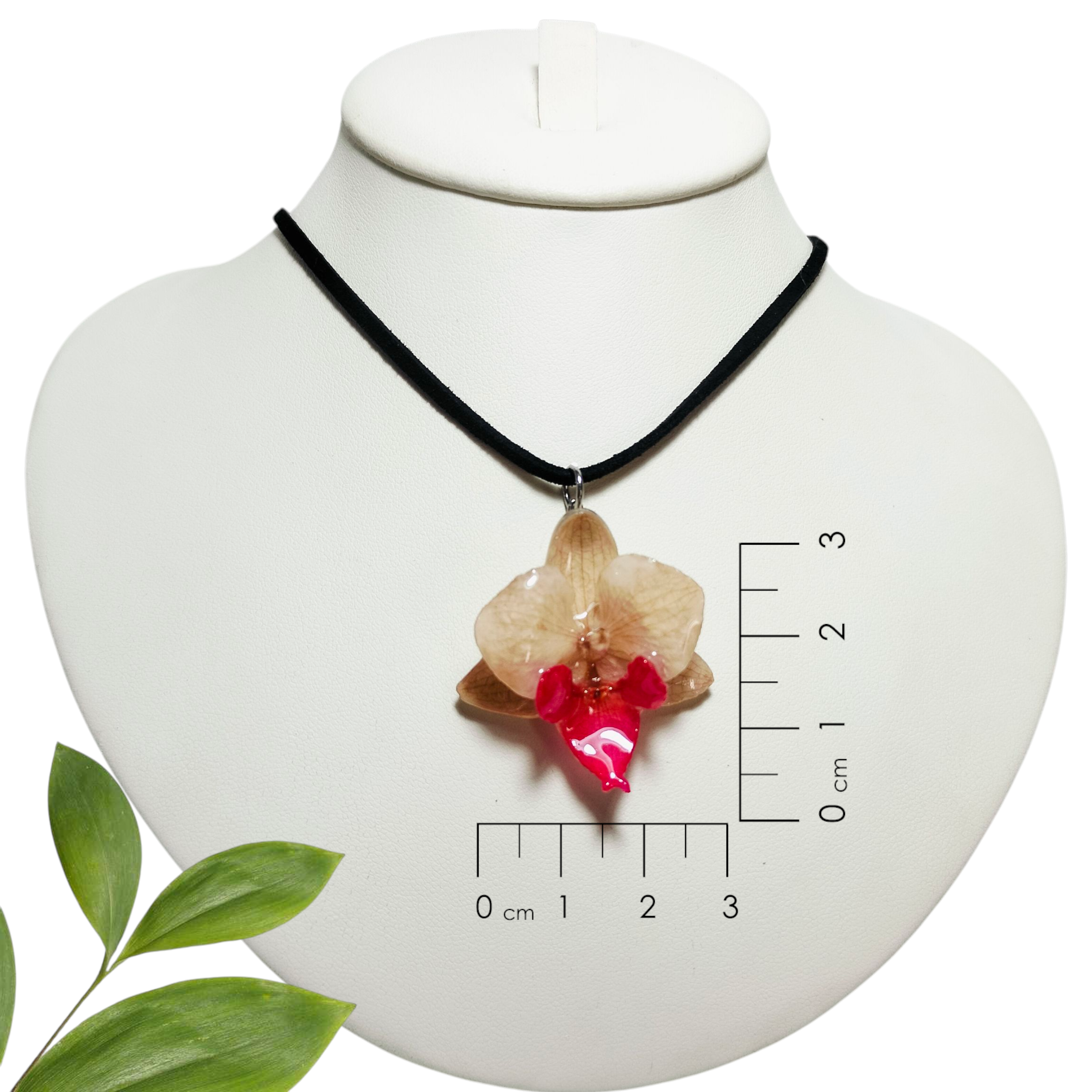 Orquídea Blanca y Rosa