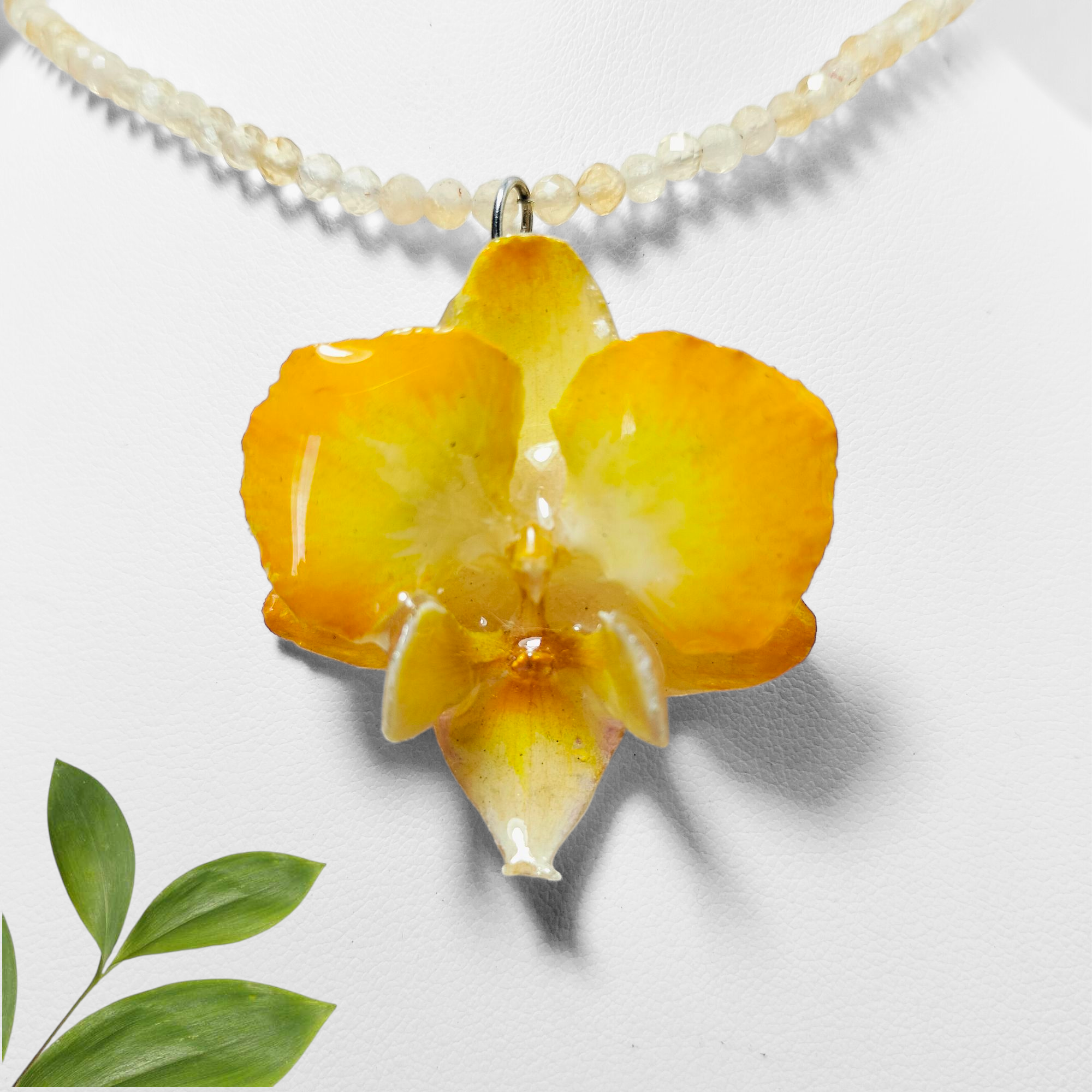 Orquídea Amarilla con Aretes de Pétalo