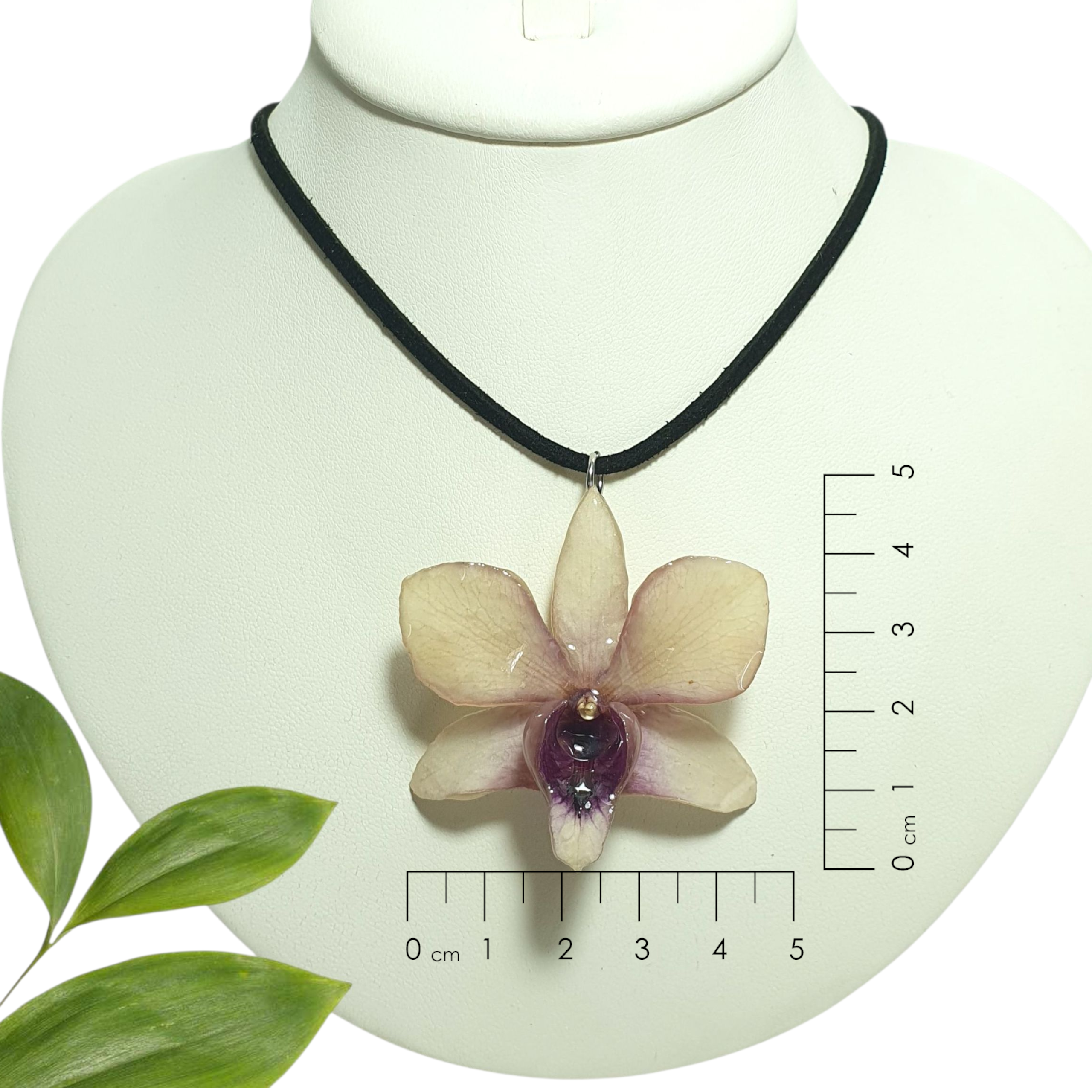 Dendrobium blanca en collar de gamuza