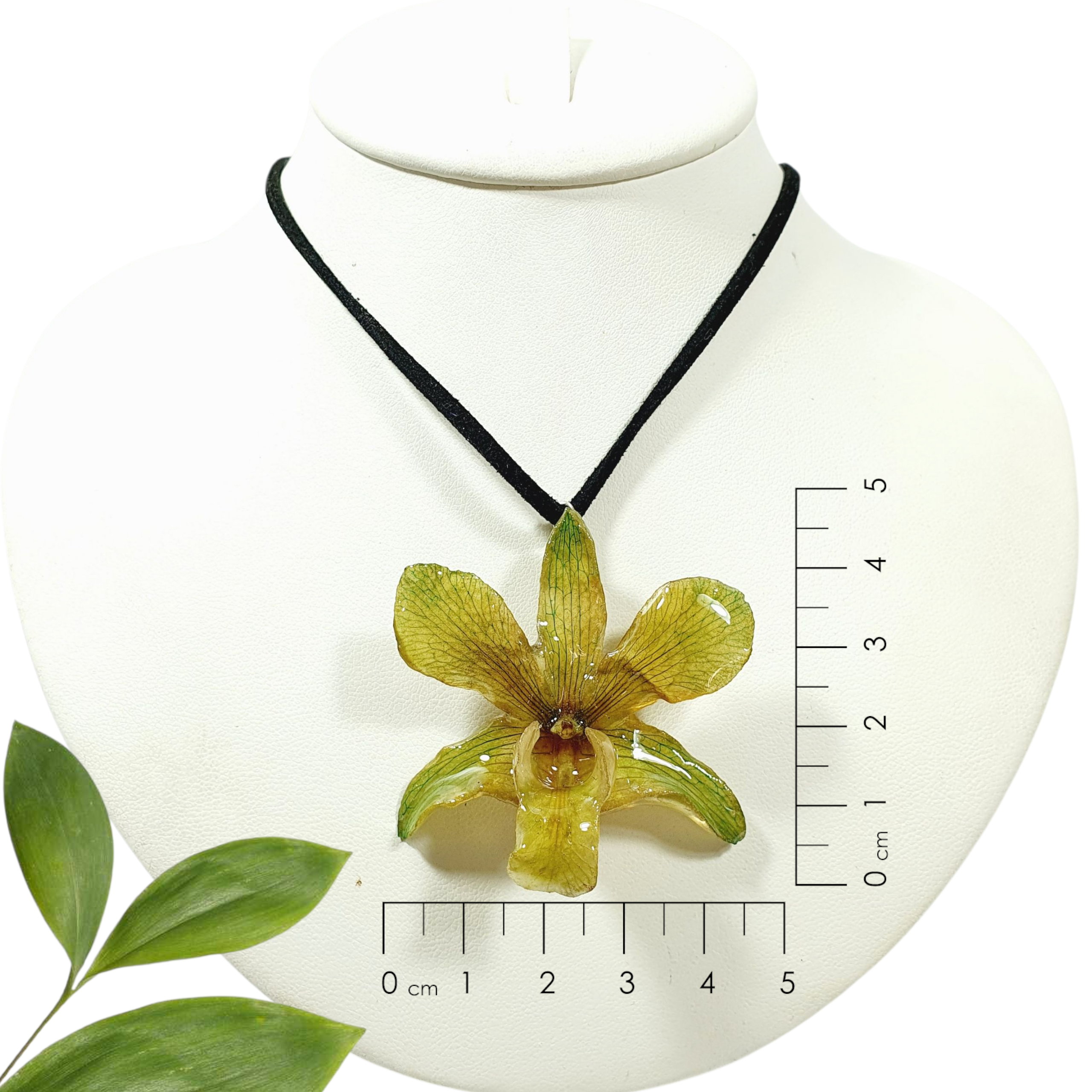 Dendrobium verde con collar de gamuza