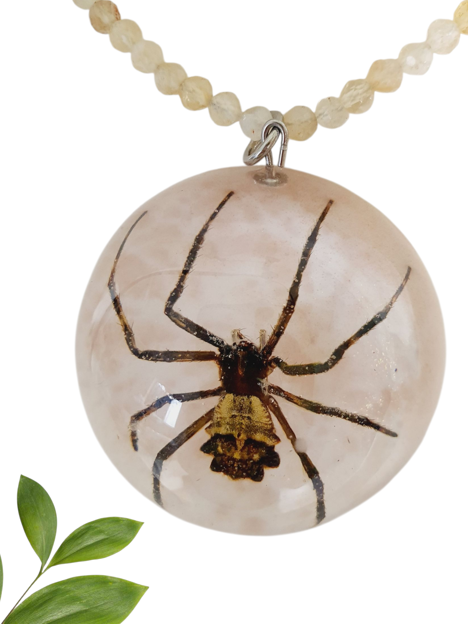 Collar de araña