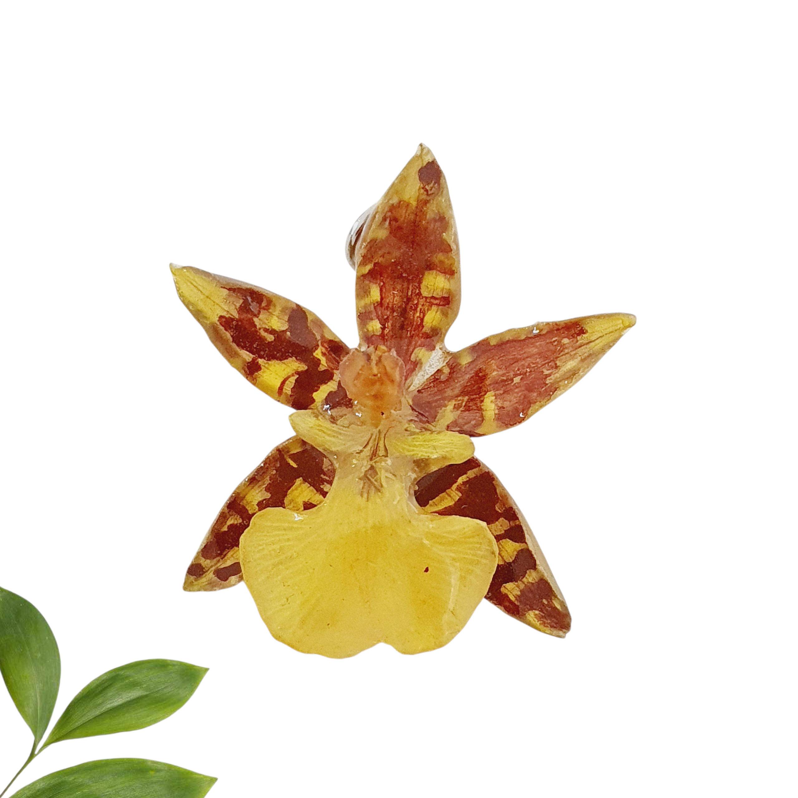 ANILLO orquídea oncidium