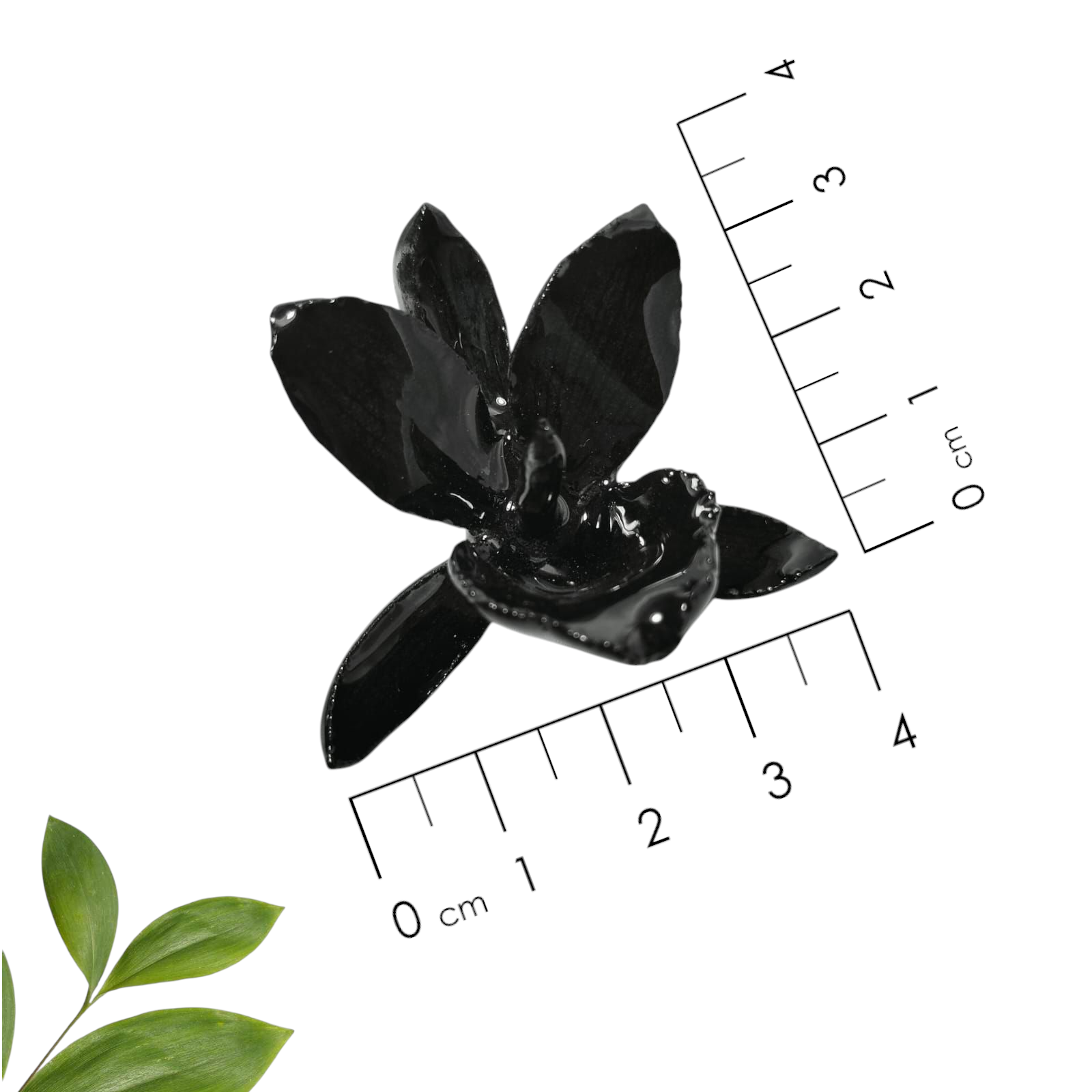 Anillo de Orquídea Negra