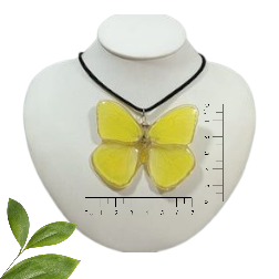 Mariposa amarilla