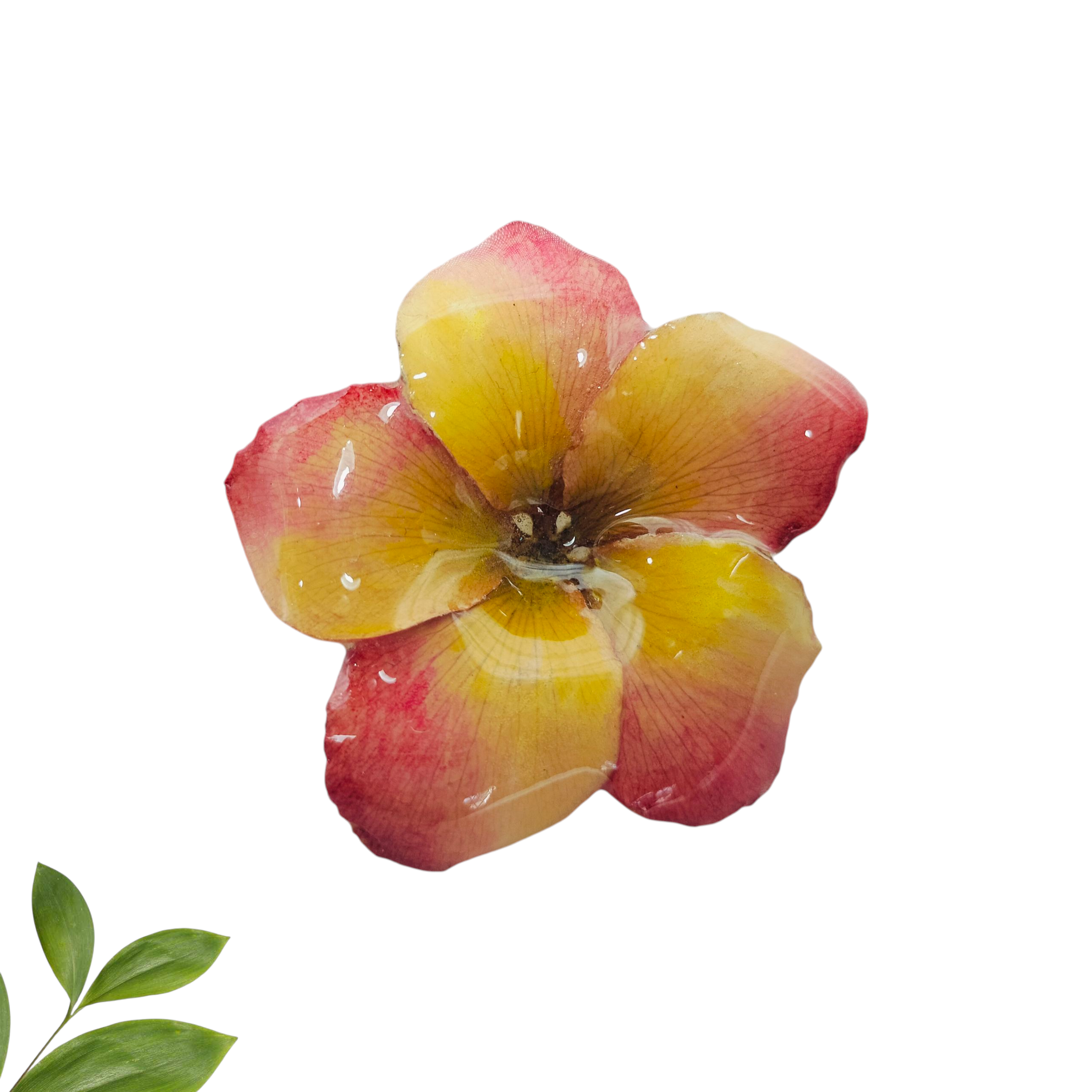 Broche para Ropa de Flor de Mayo