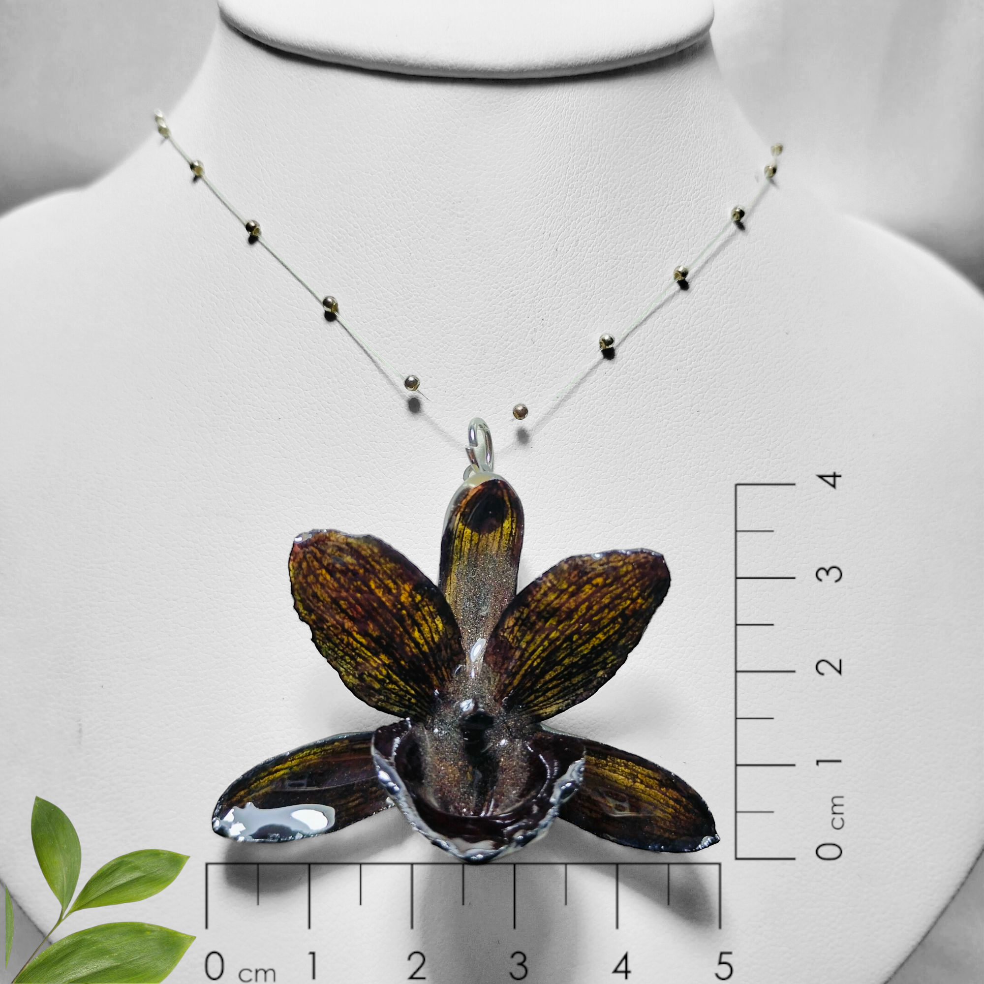 Orquídea Negra