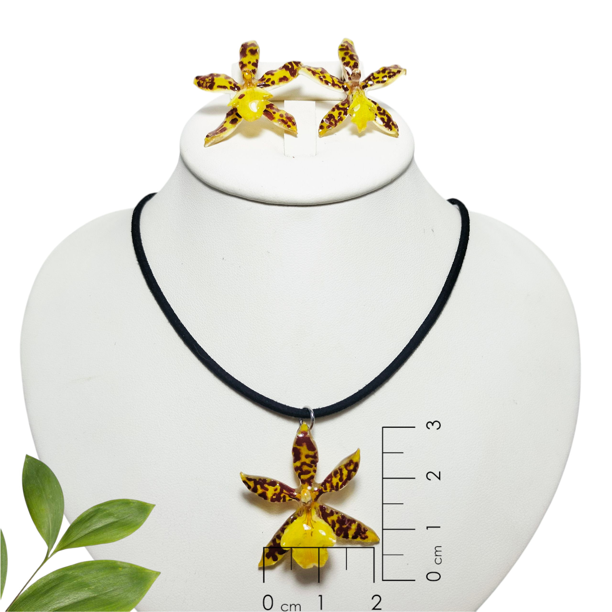 Juego de orquídeas amarillas