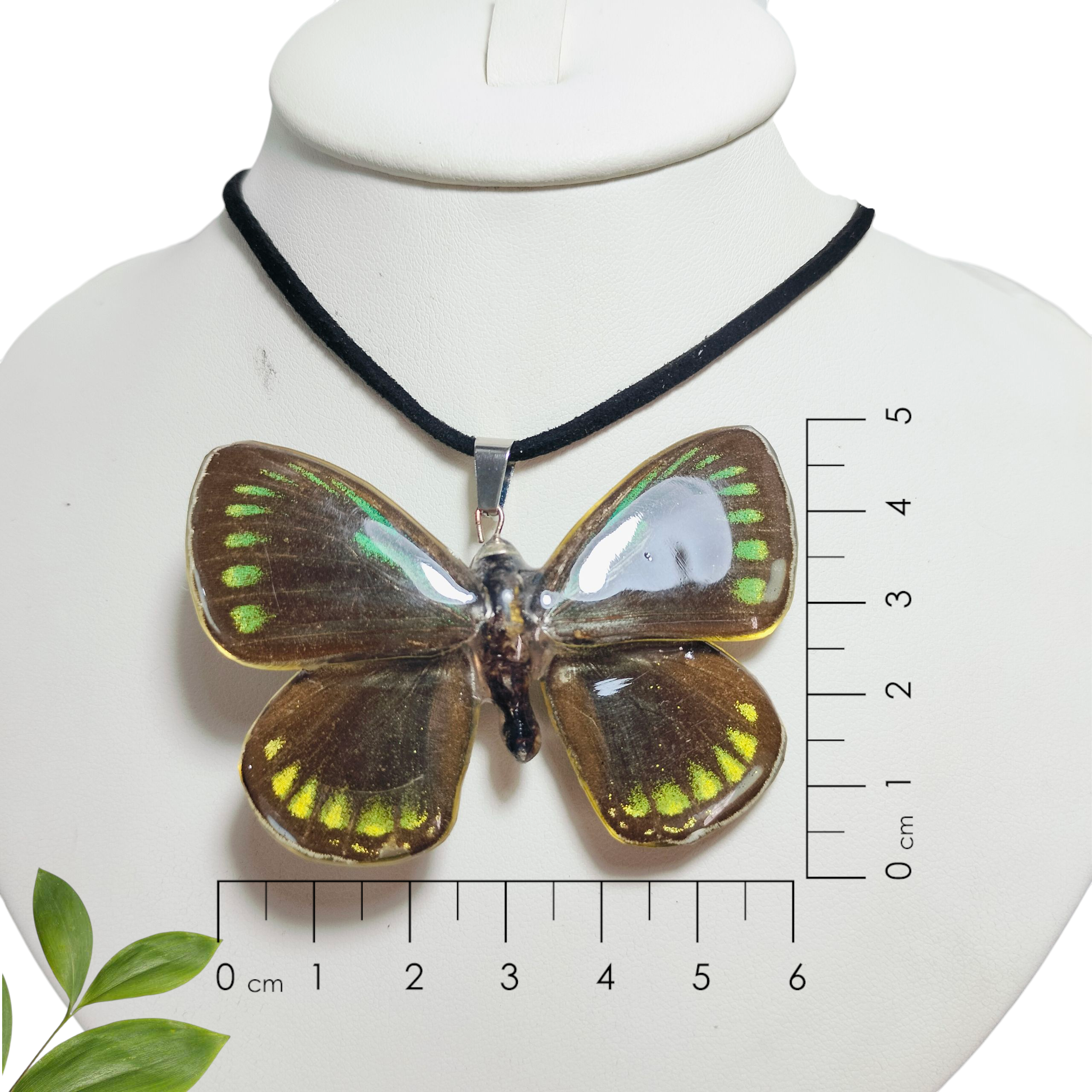 Dije de Mariposa Negra