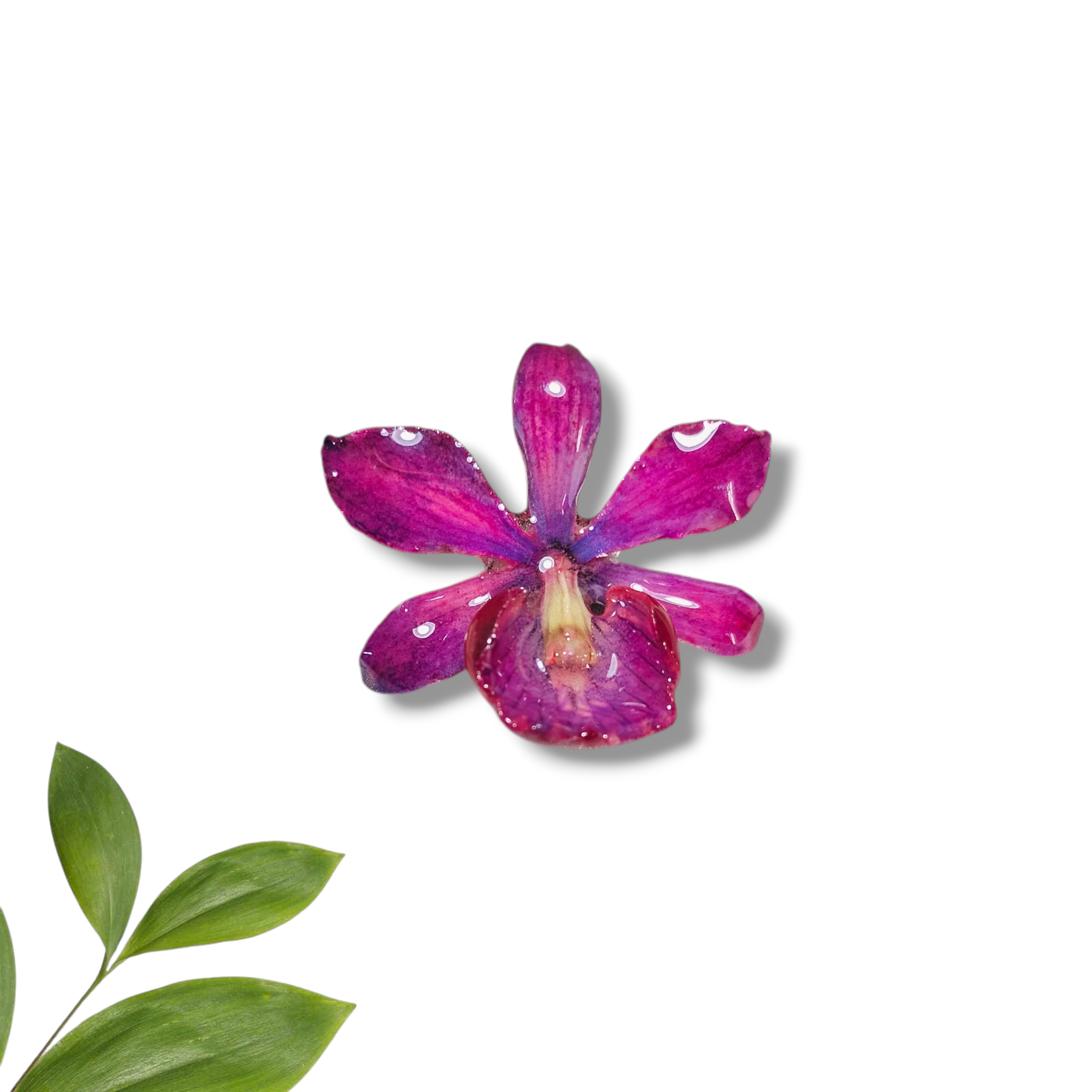 Juego de Orquídeas Moradas