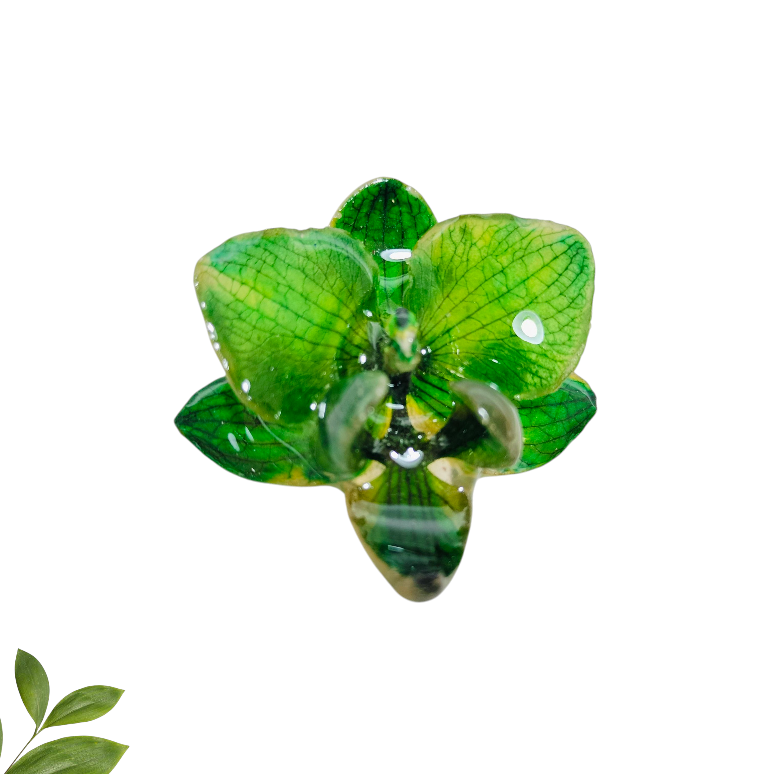 Anillo de Orquídea Verde