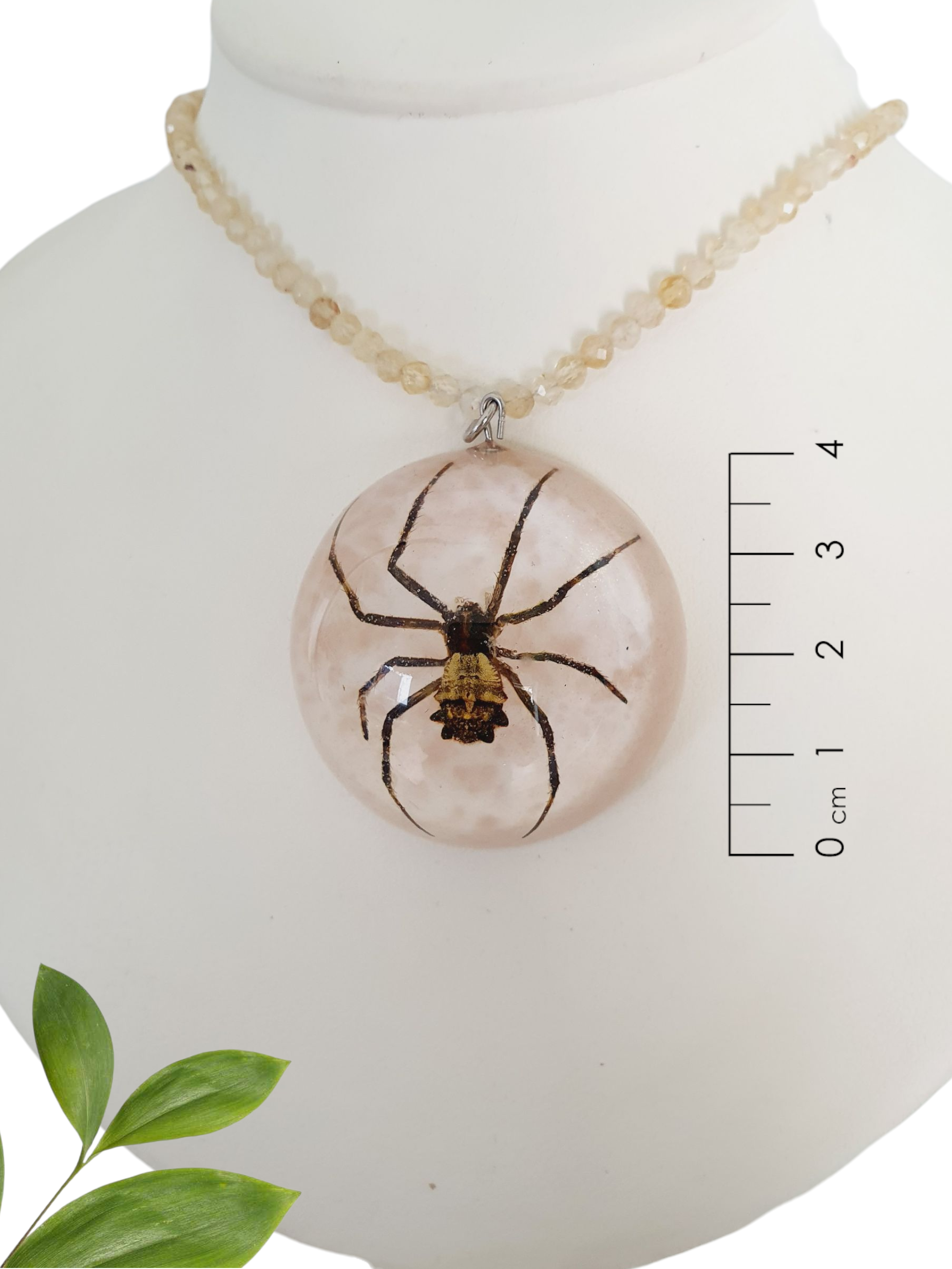 Collar de araña