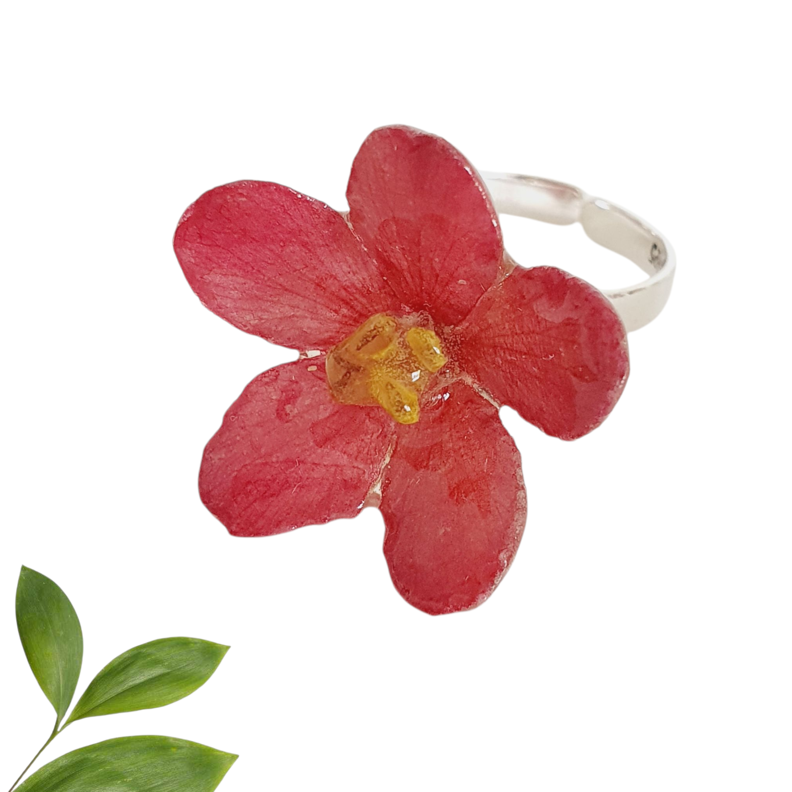 ANILLO Flor de peregrina