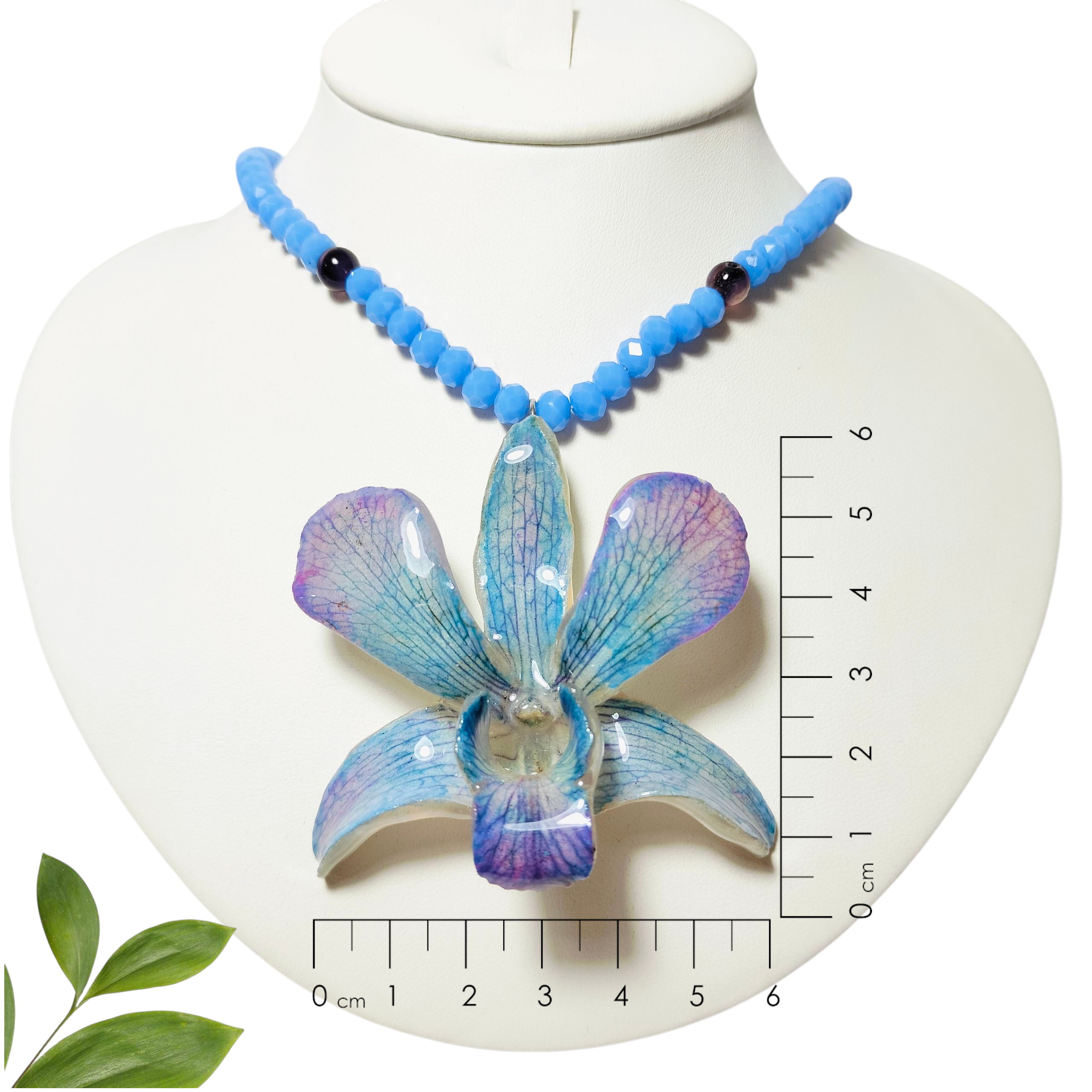 Orquídea Azul con collar Celeste