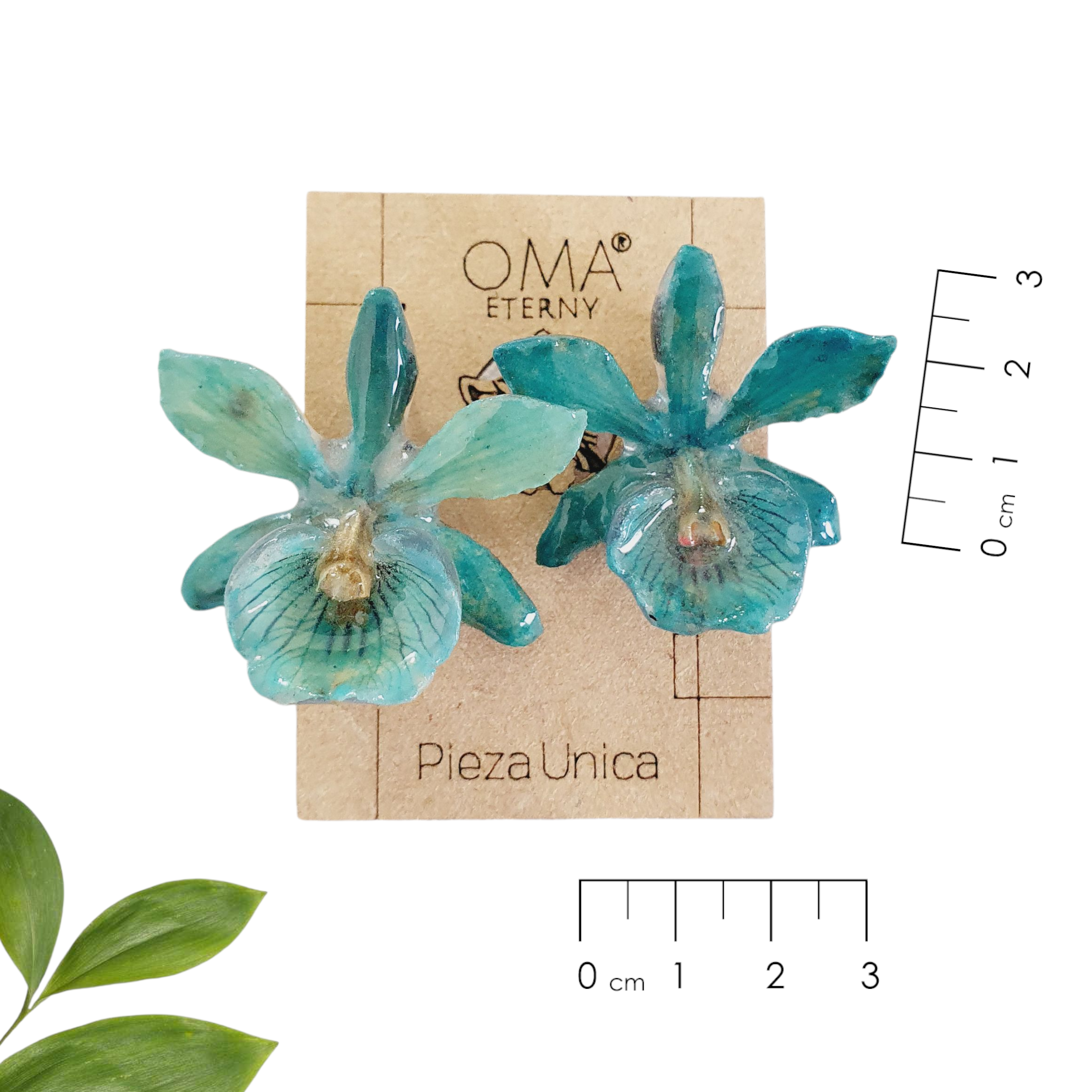 Aretes de Orquidea Radiata azules