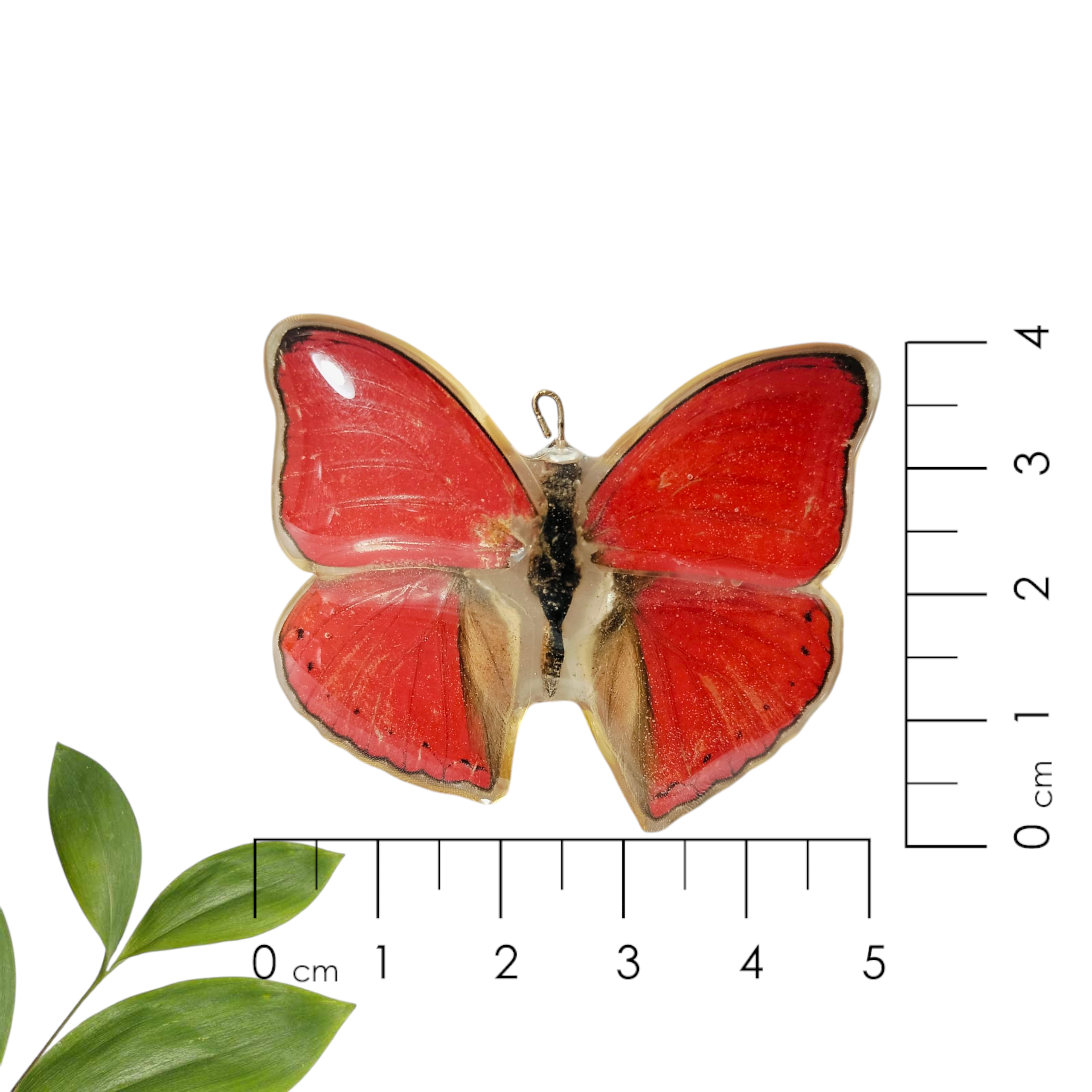 Anillo de Mariposa Roja