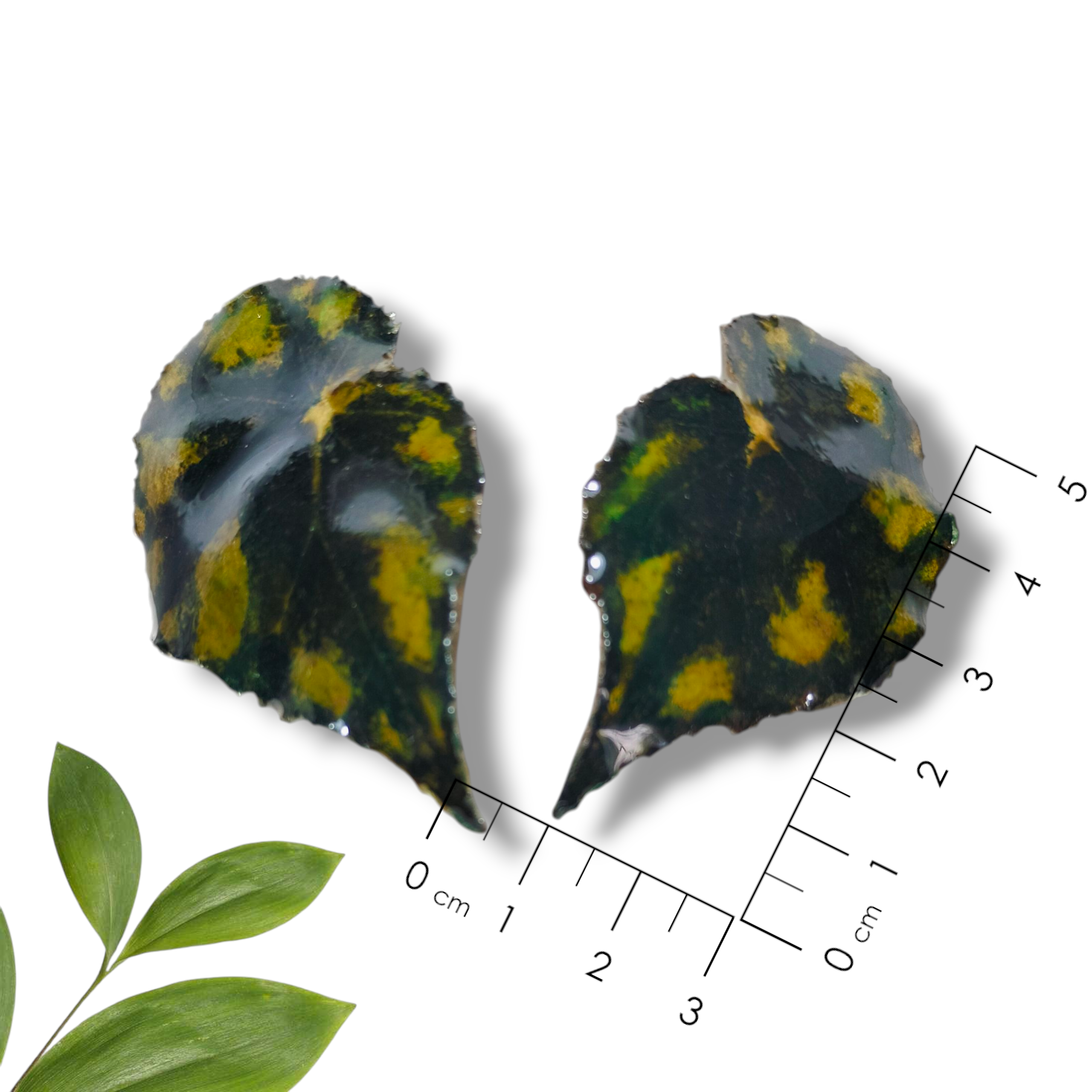 Aretes de Hoja Verde