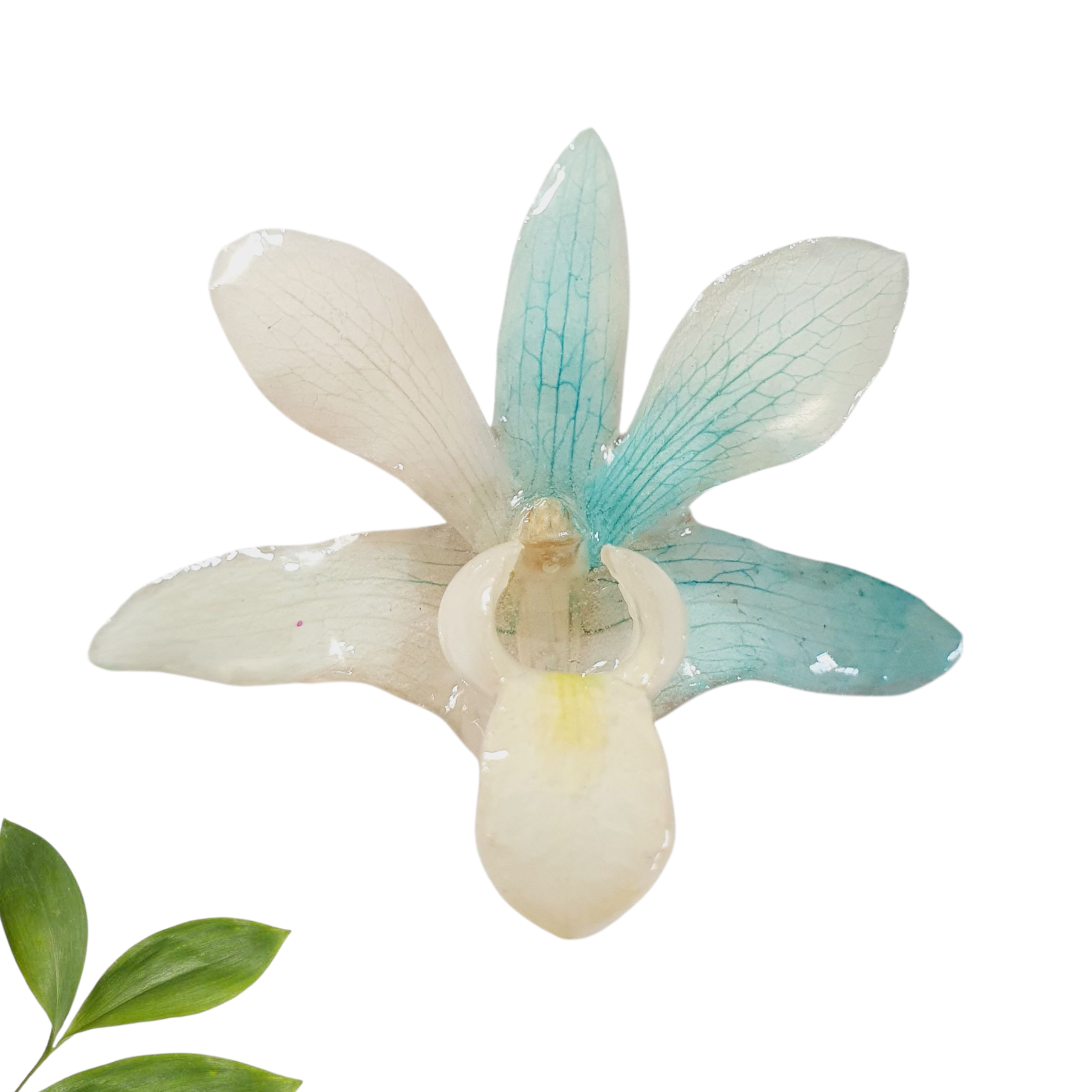 Anillo de Orquidea Azul