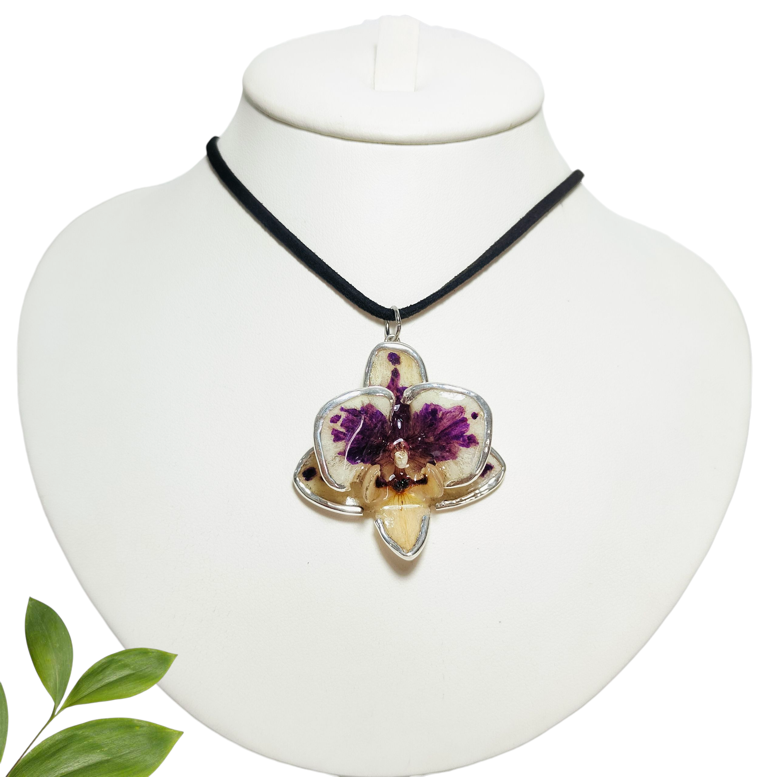 Orquídea Vaquita con Orilla de Plata