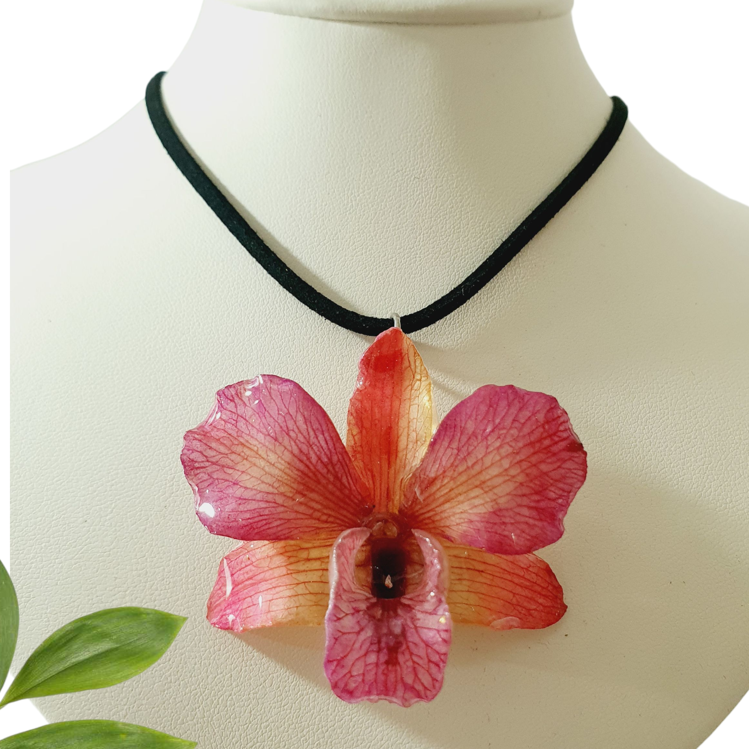 Orquídea Rosa