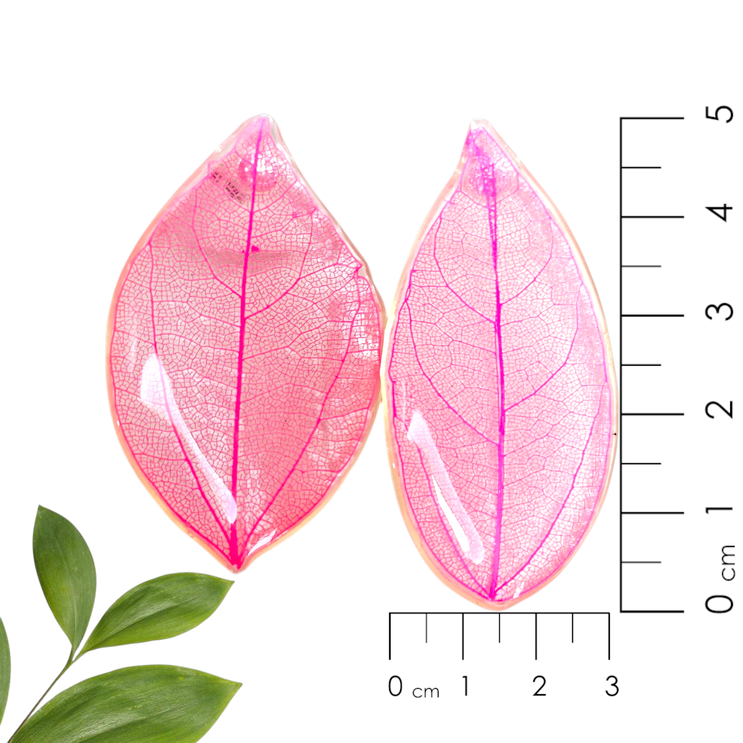 Aretes de Hojas Rosas