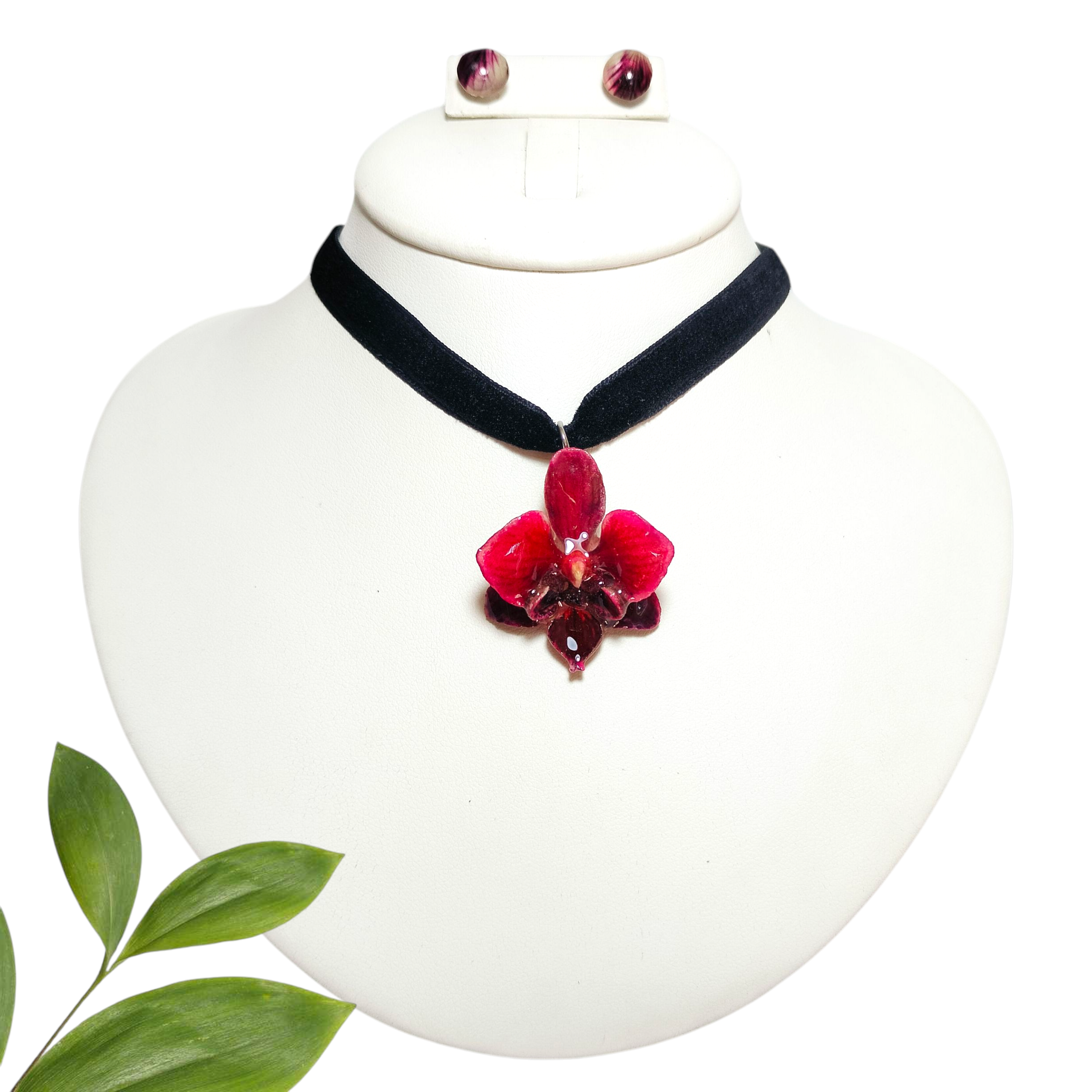 Juego de Orquídea Fucsia