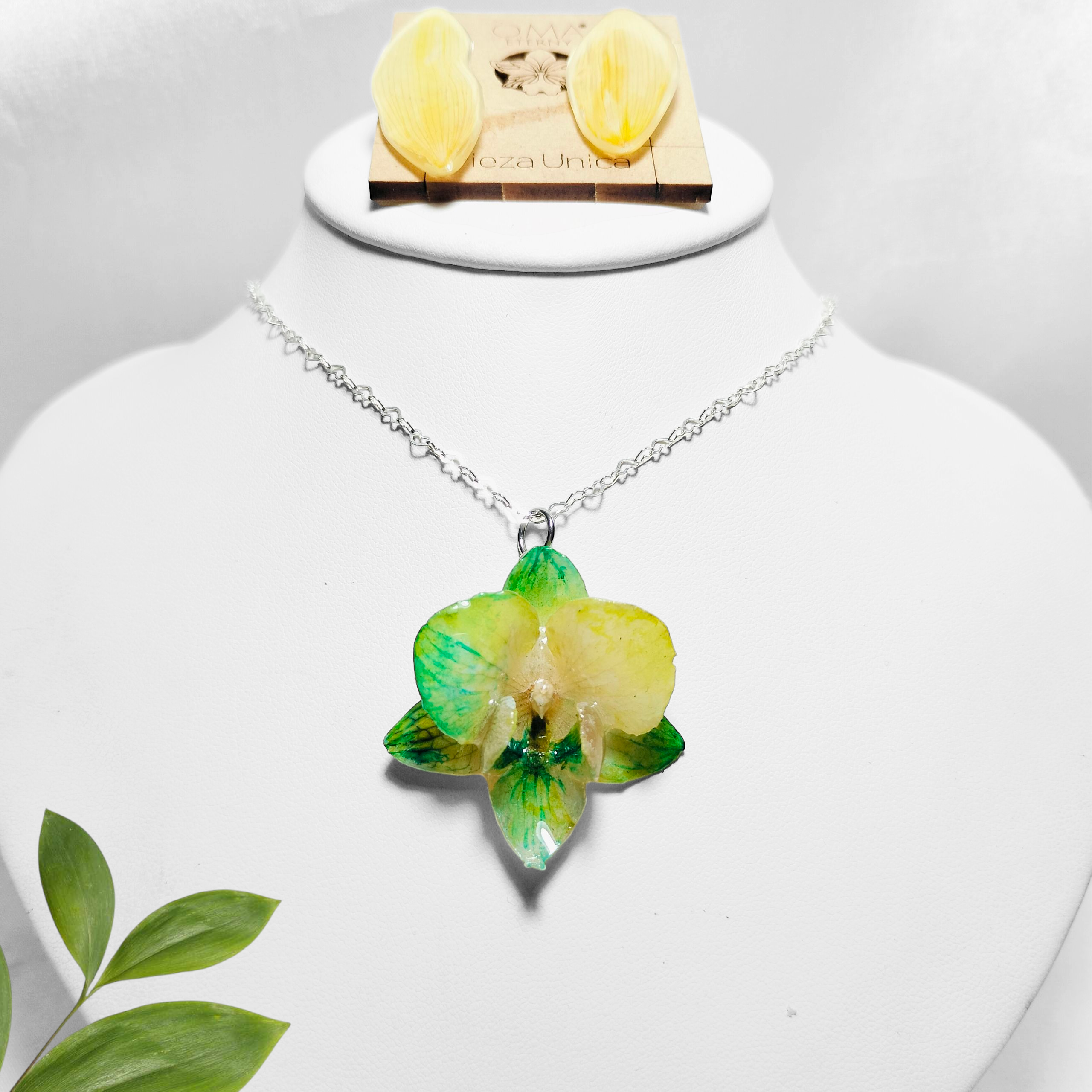 Orquídea Verde