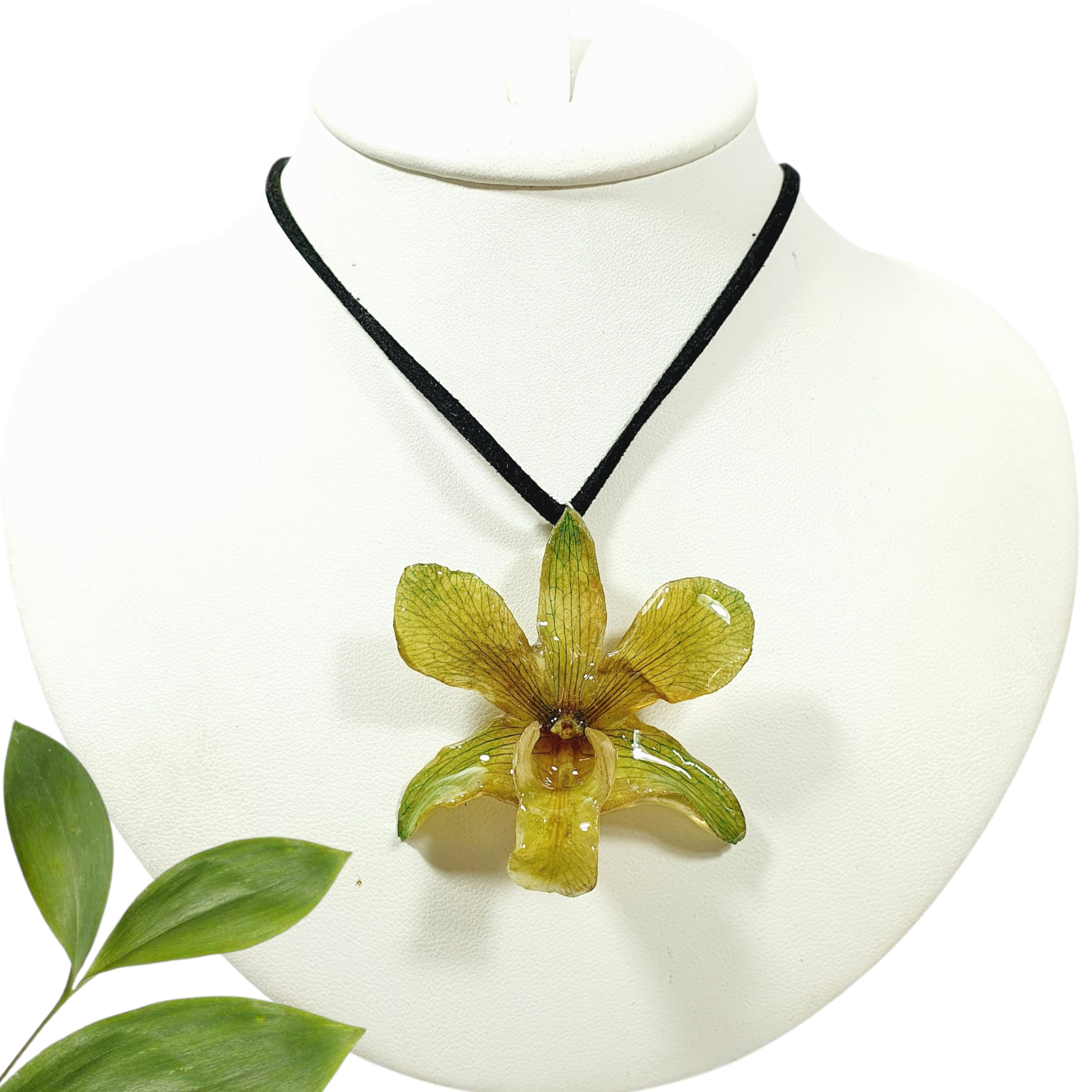 Dendrobium verde con collar de gamuza