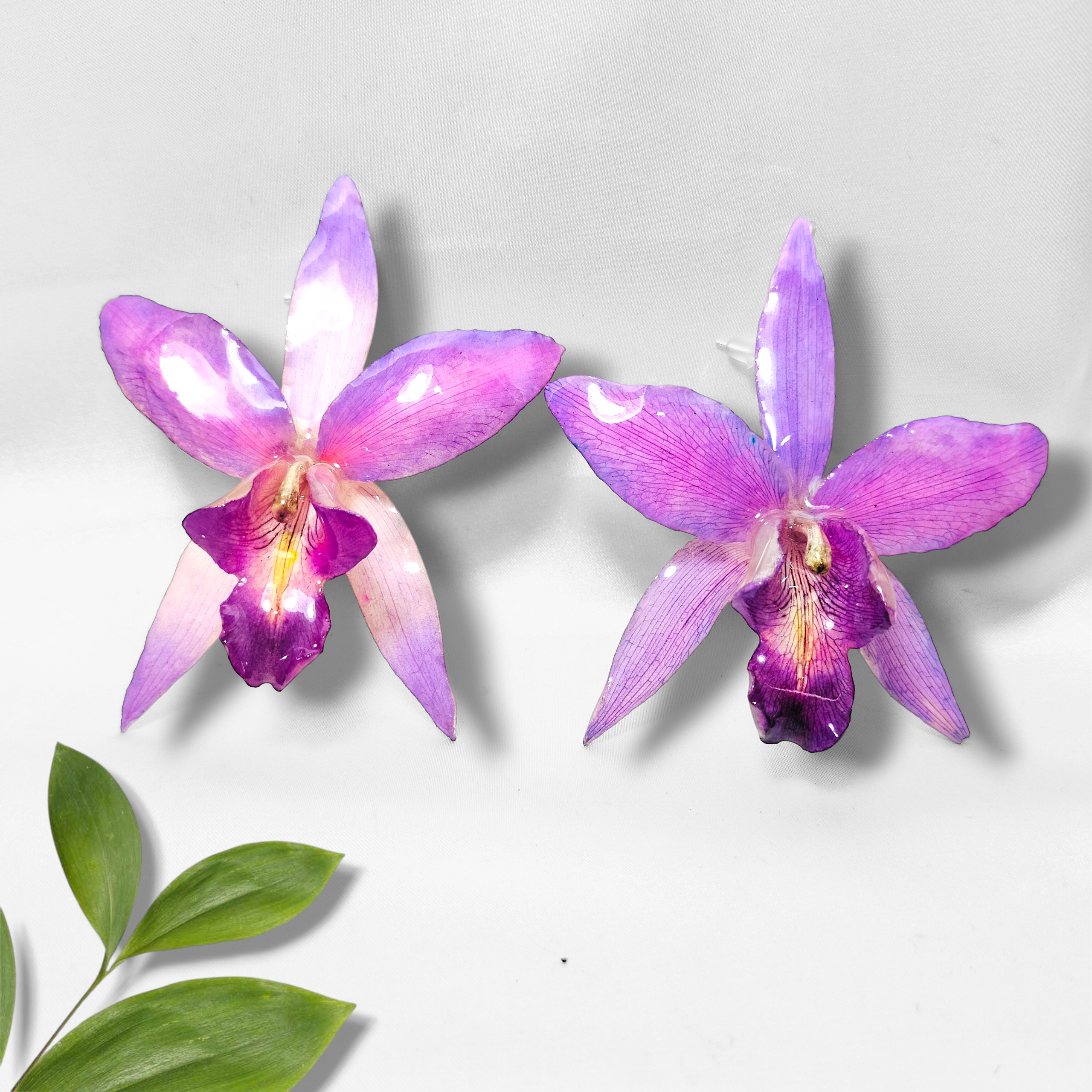 Grandiosas Orquídeas Lilas