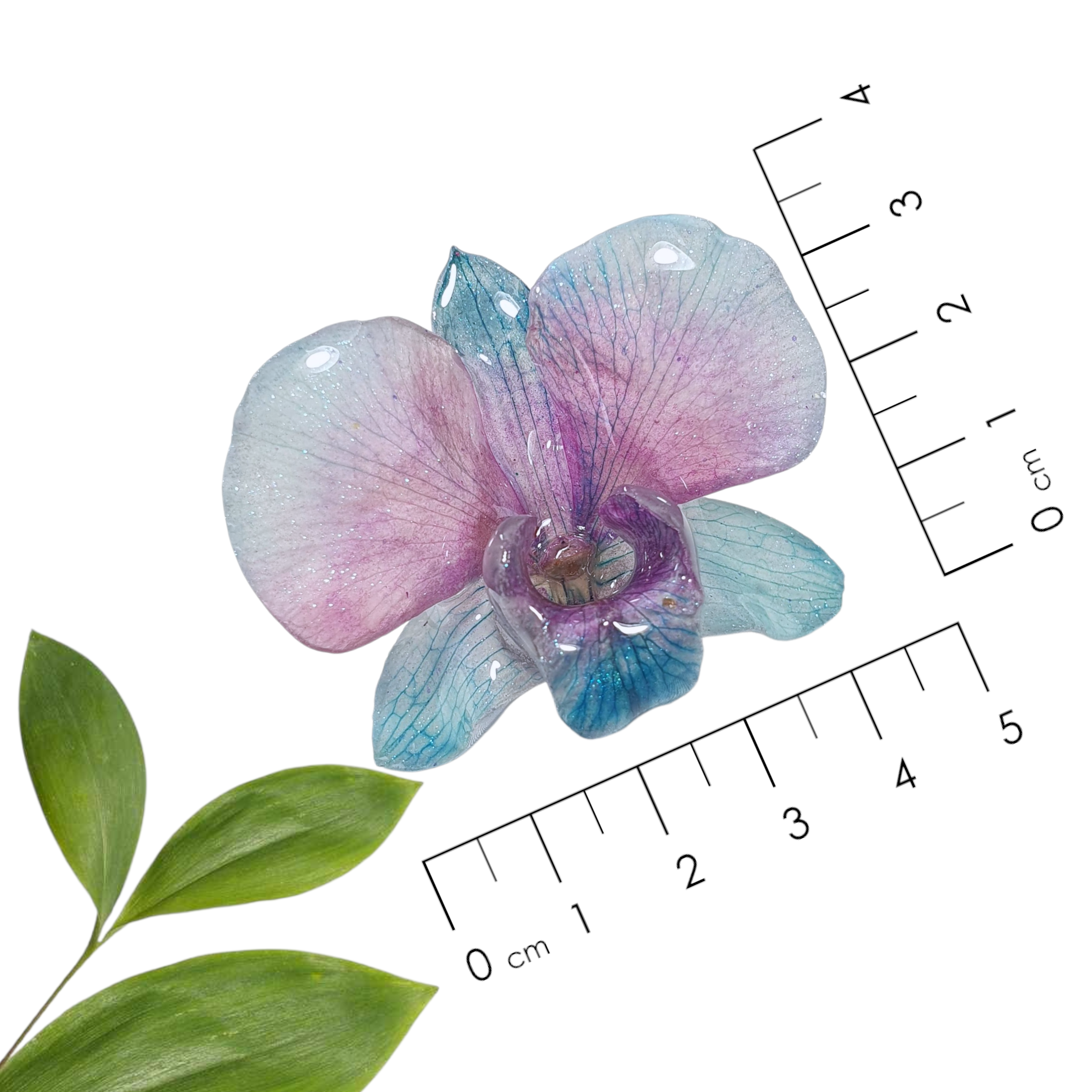 Anillo de Orquidea Dendrobium azul