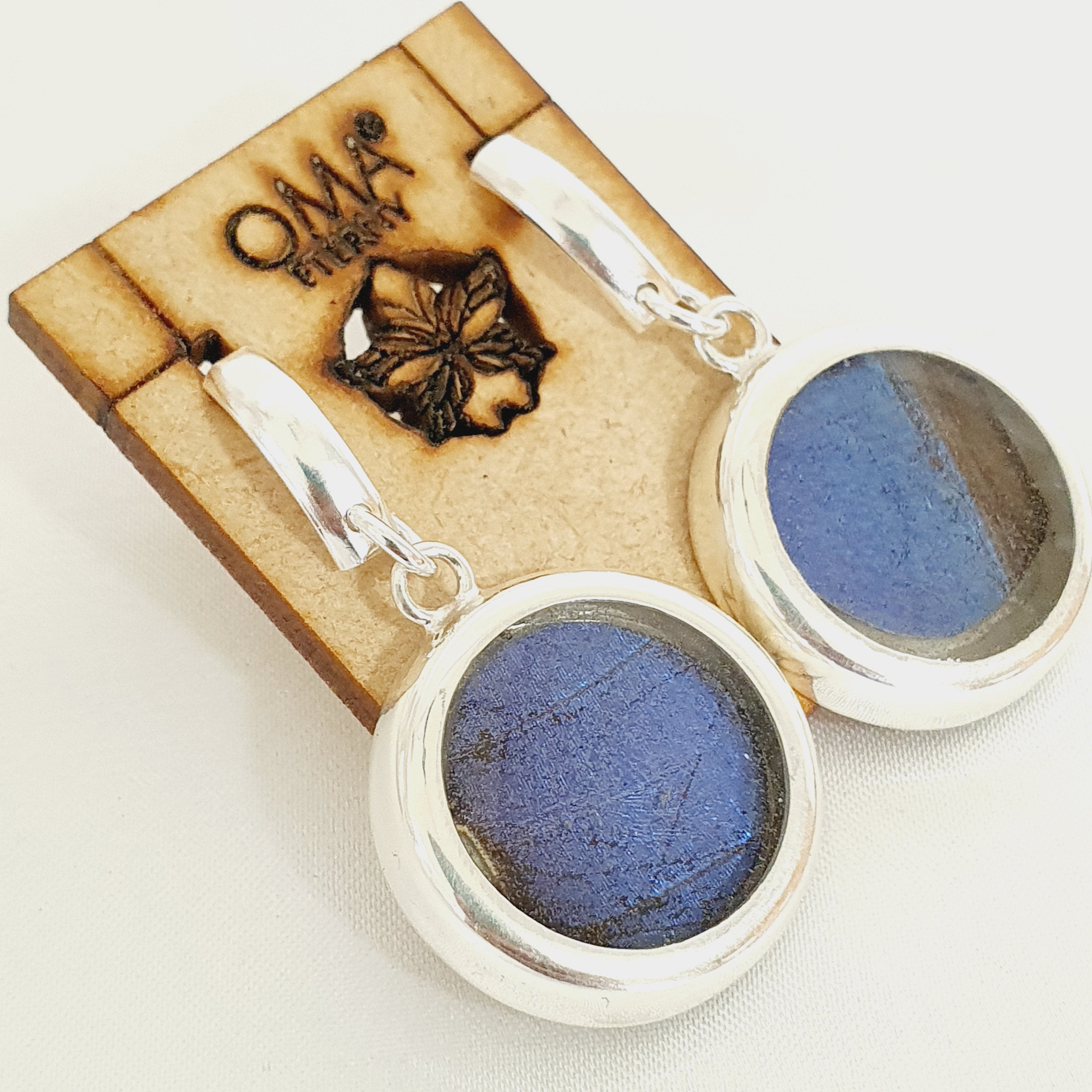 Aretes Fragmento de ala azul