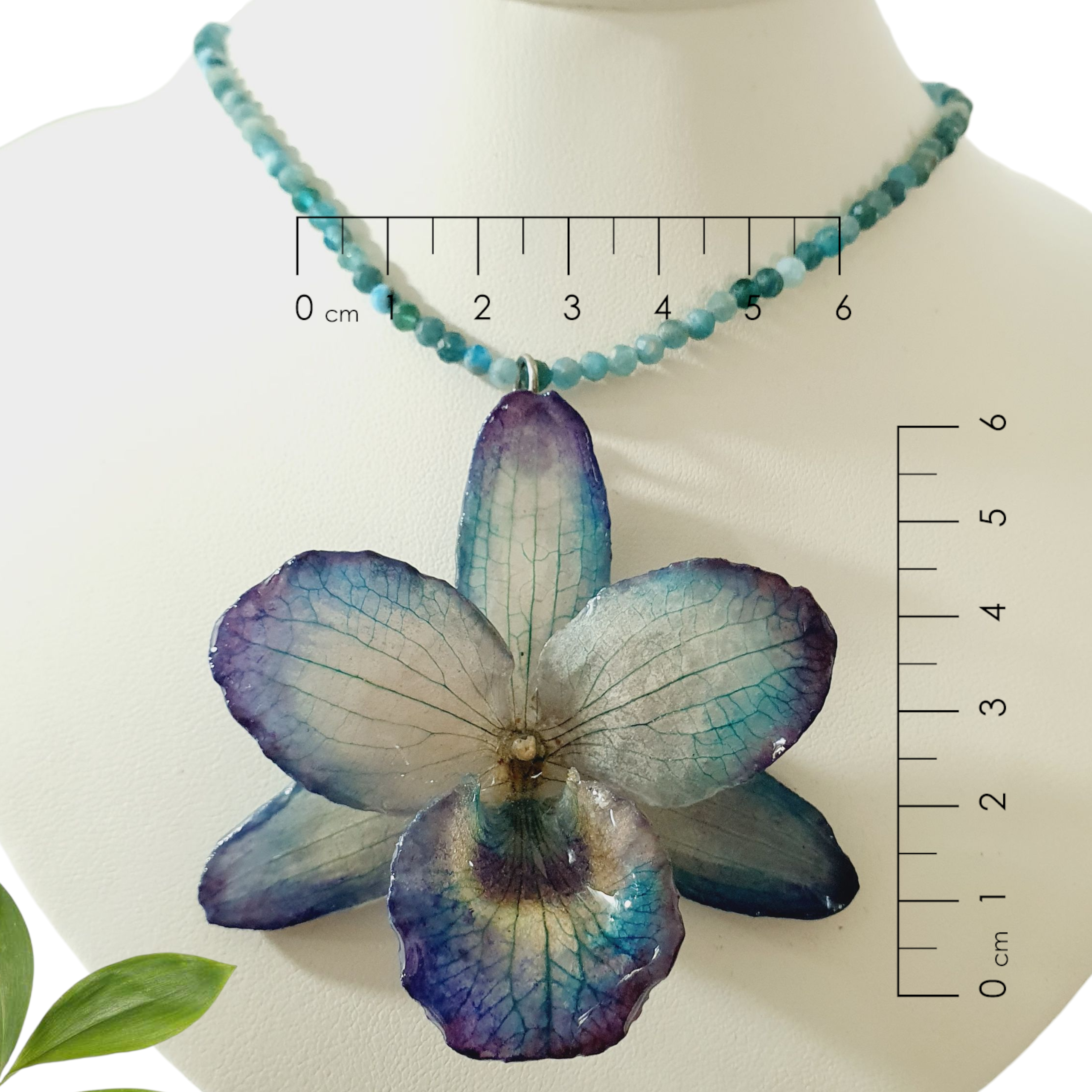 Orquídea Azul