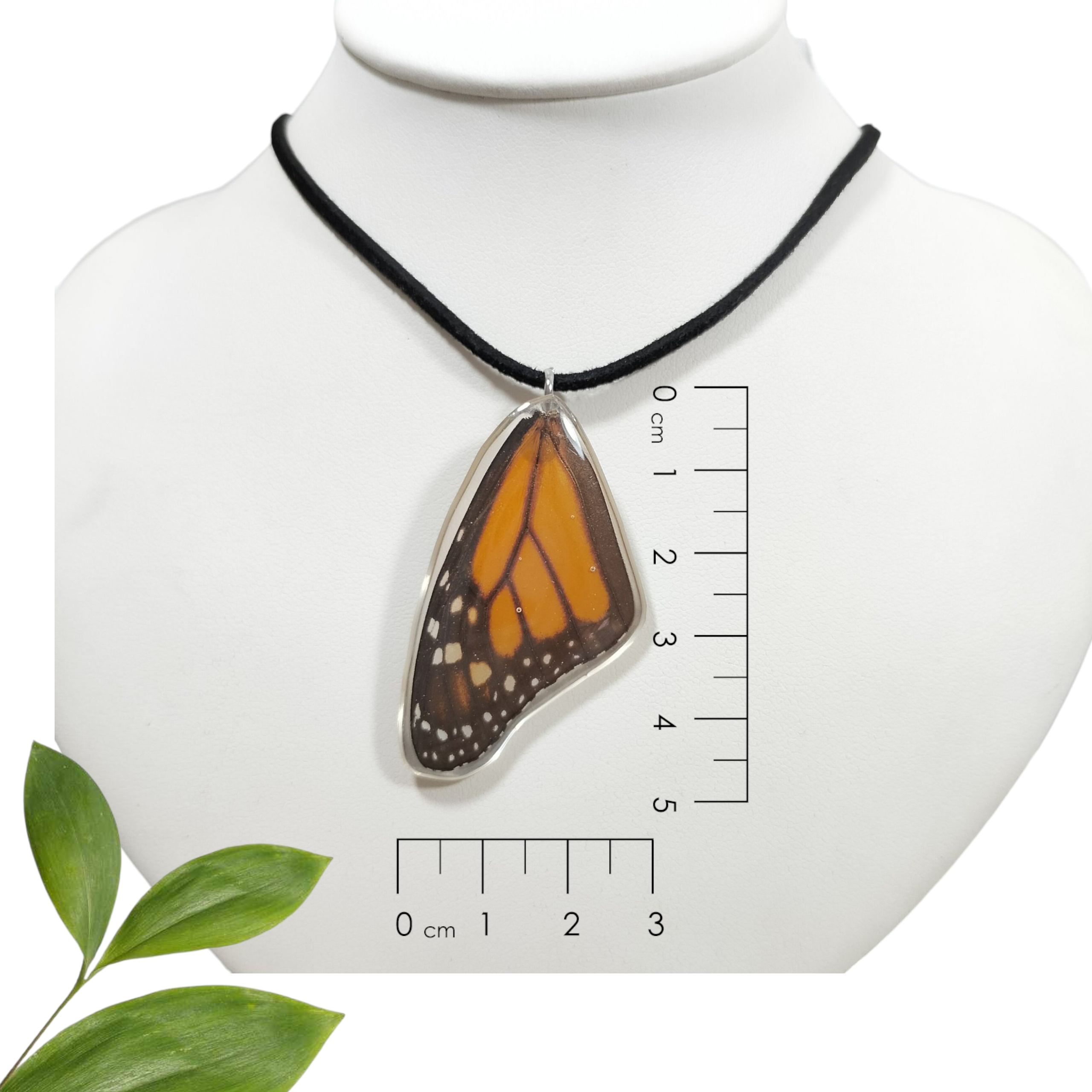 Ala de Mariposa Monarca