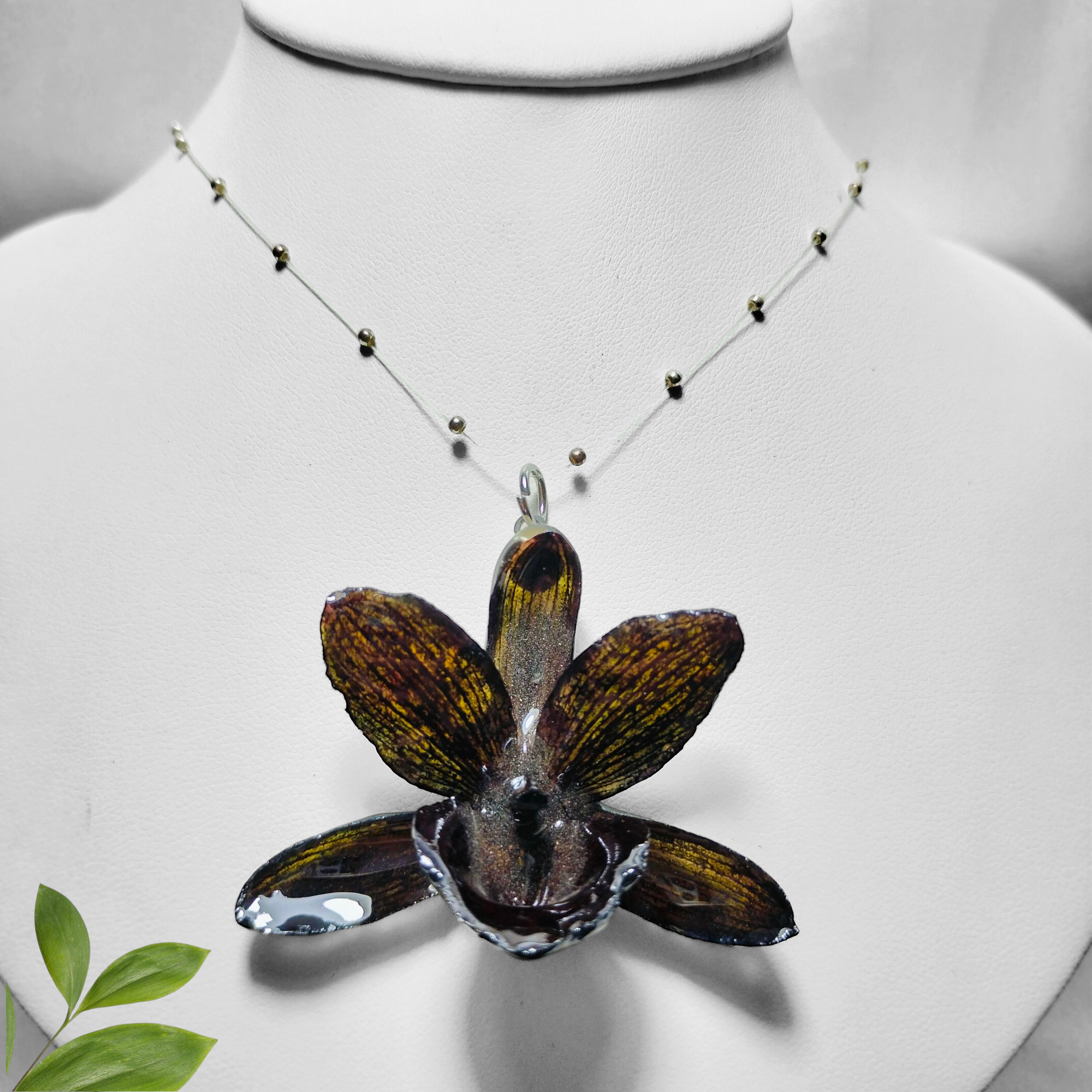 Orquídea Negra