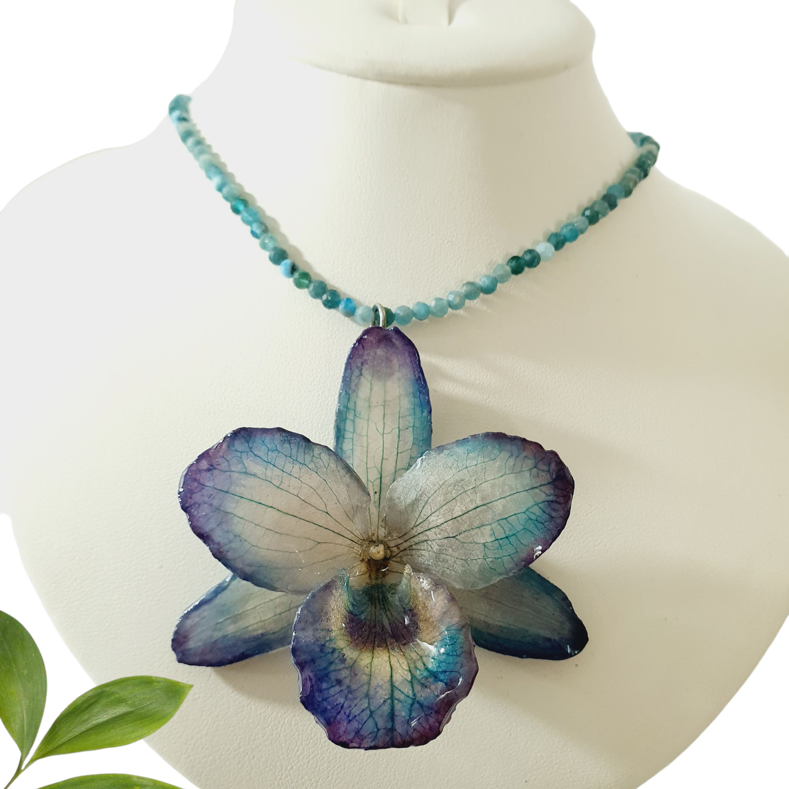 Orquídea Azul