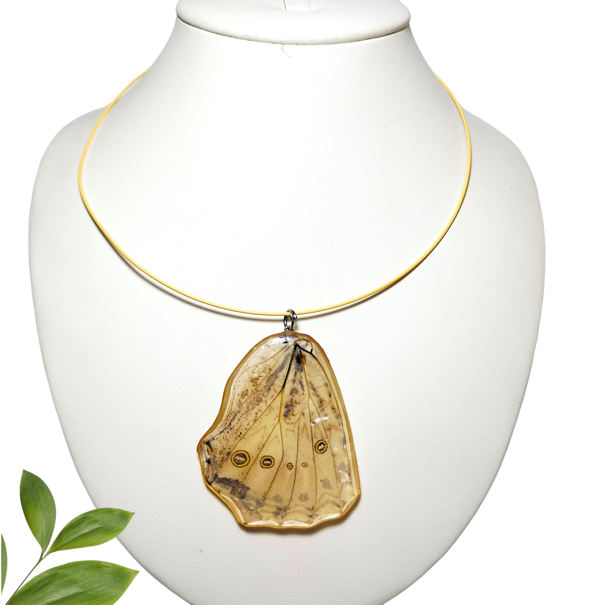 Ala de Mariposa Beige