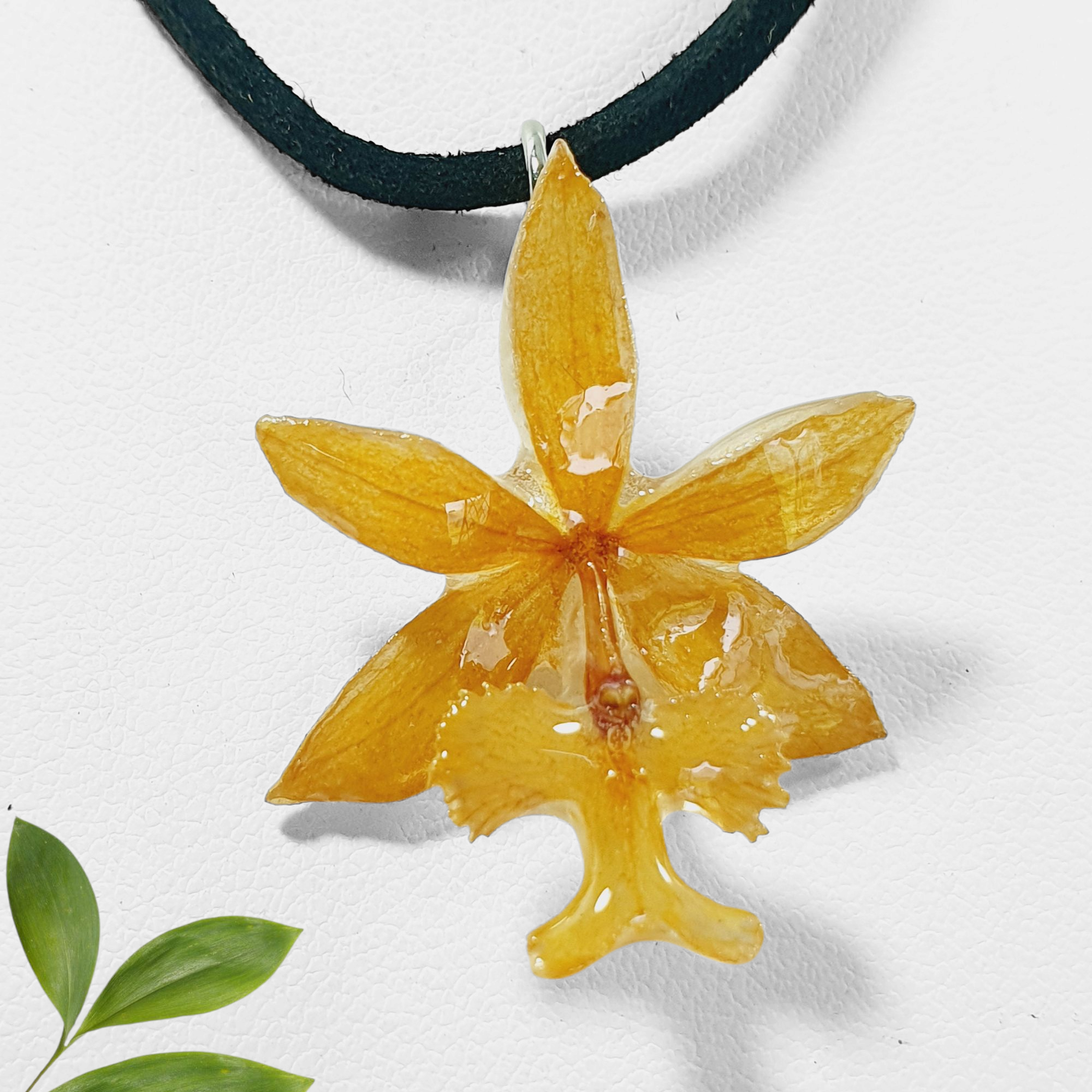 orquidea naranja