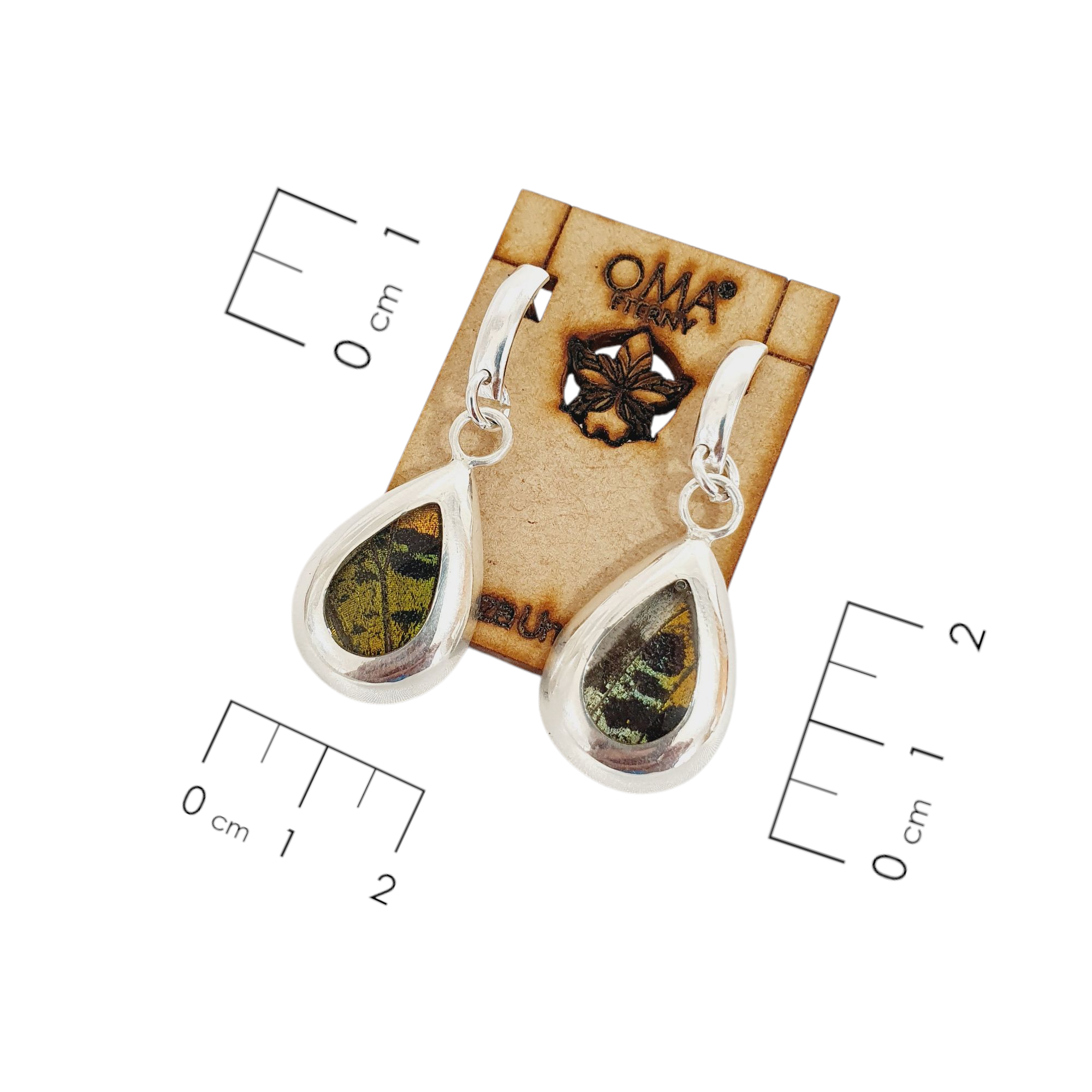 Aretes Fragmento de ala