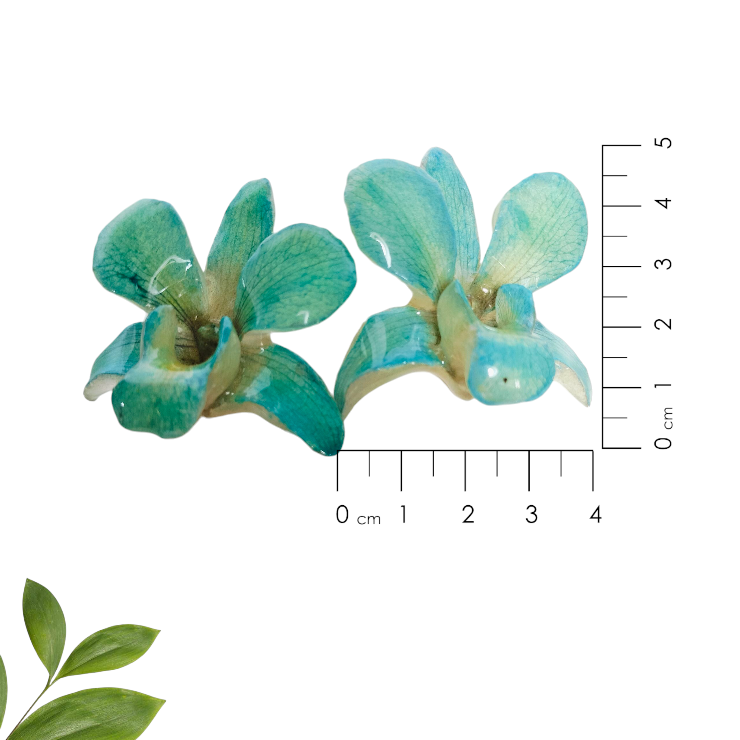 Aretes de Orquídeas Turquesa