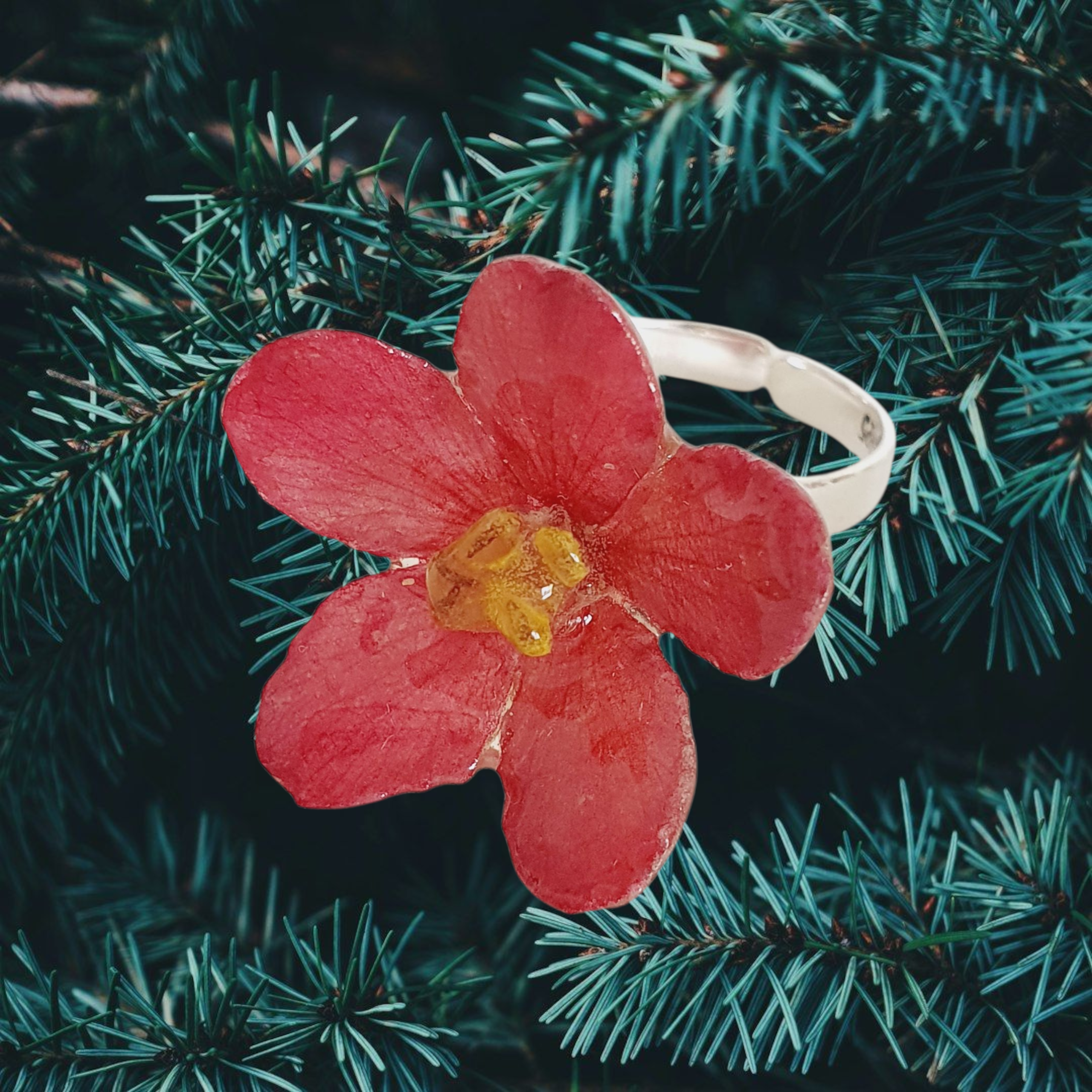 ANILLO Flor de peregrina