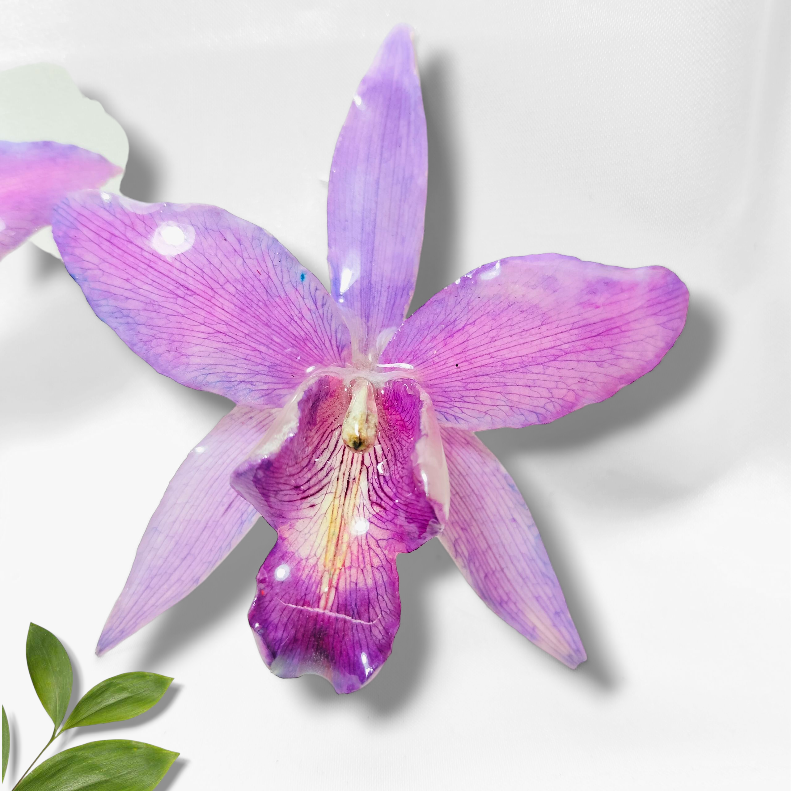 Grandiosas Orquídeas Lilas