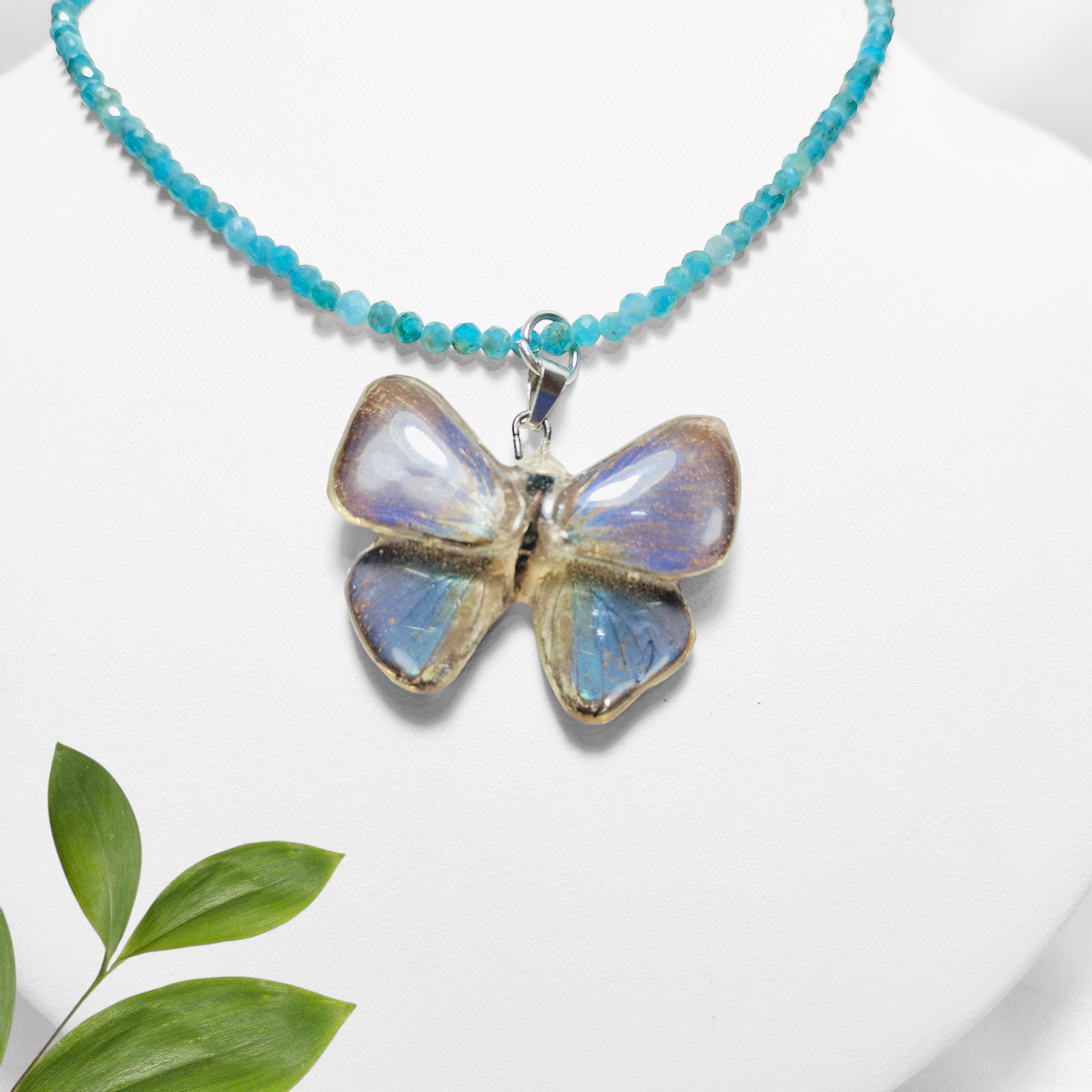 Juego Mariposa Azul