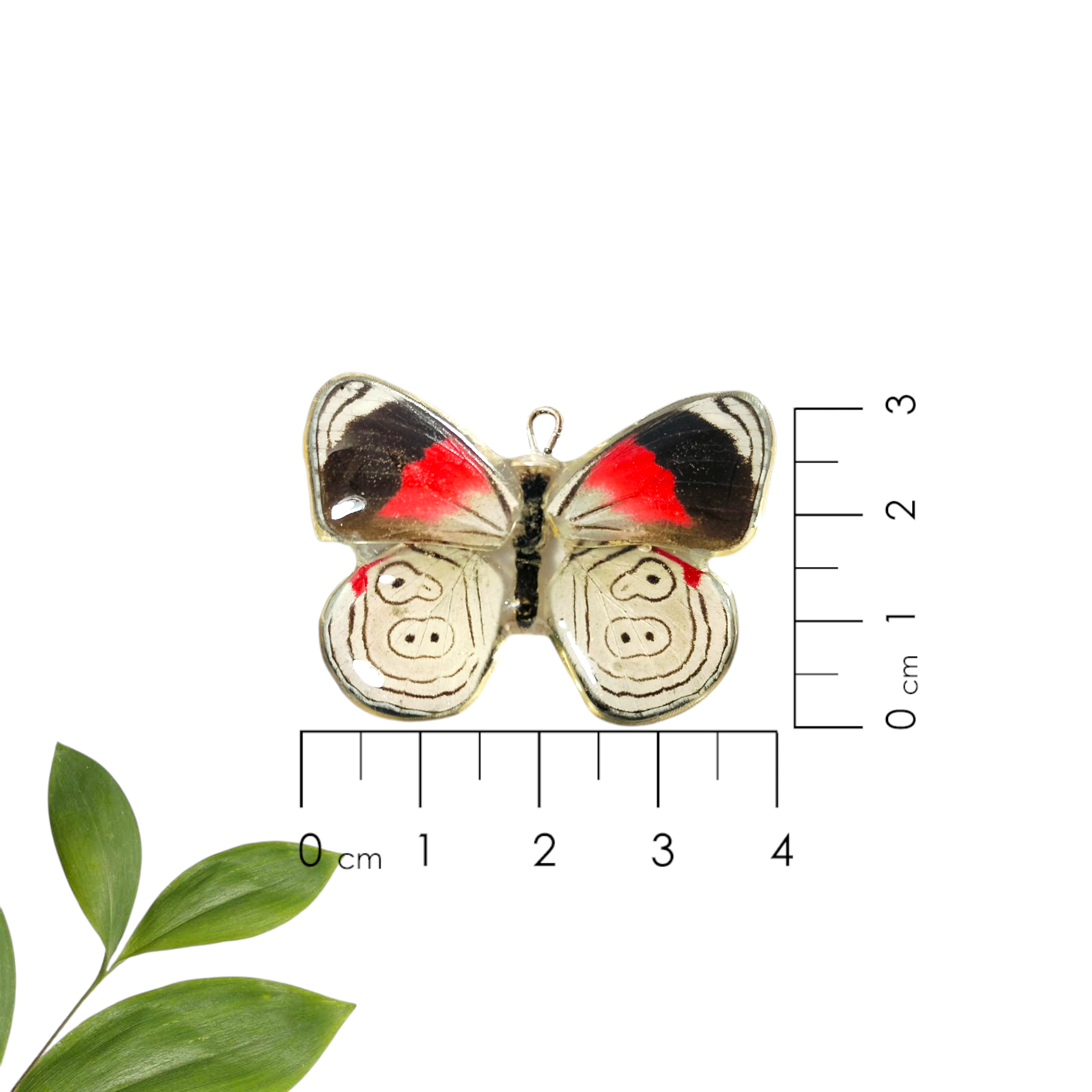 Anillo de Mariposa 88