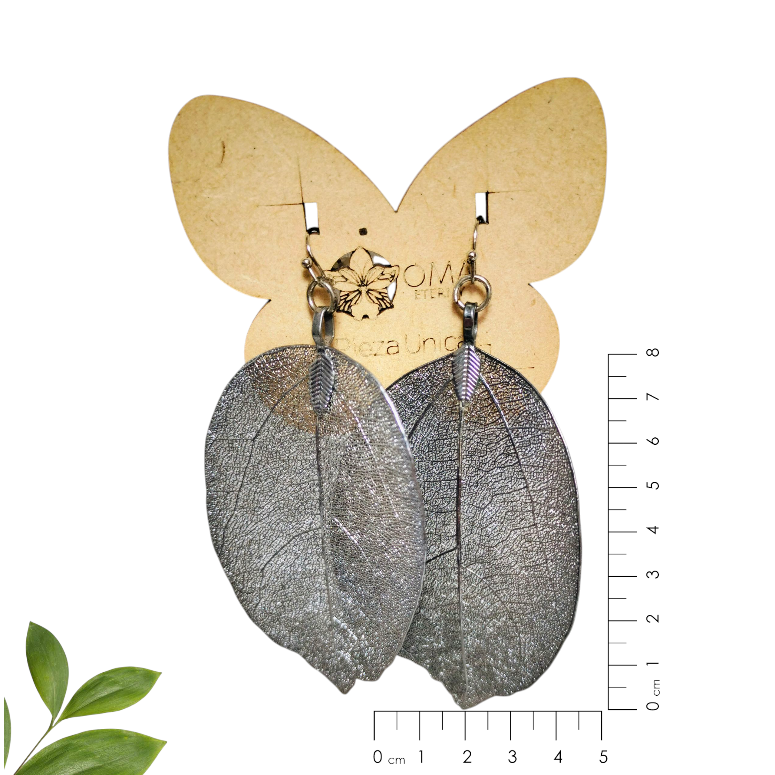 Aretes de esqueleto de hoja