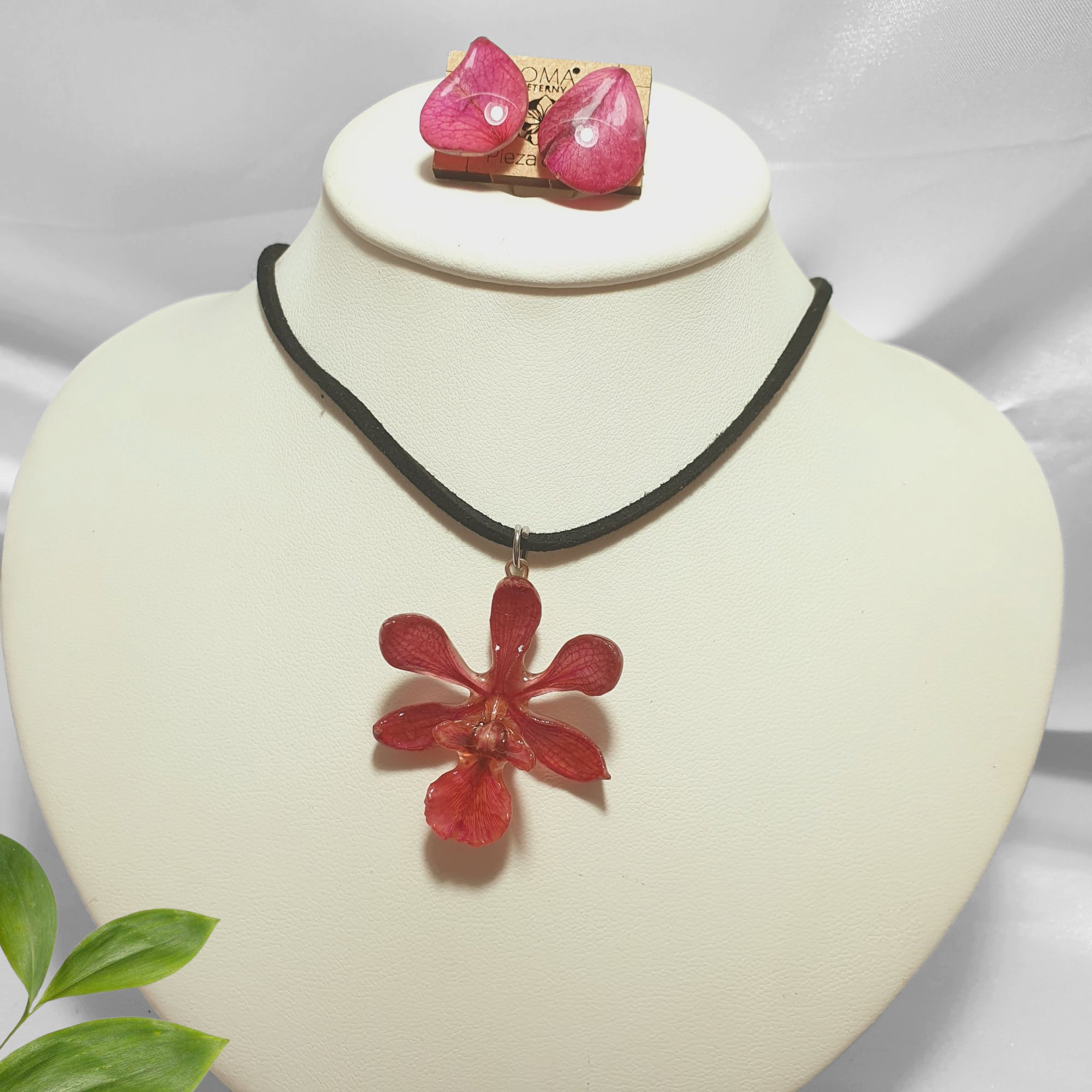 Juego de Orquídea rosa con Collar de Gamuza