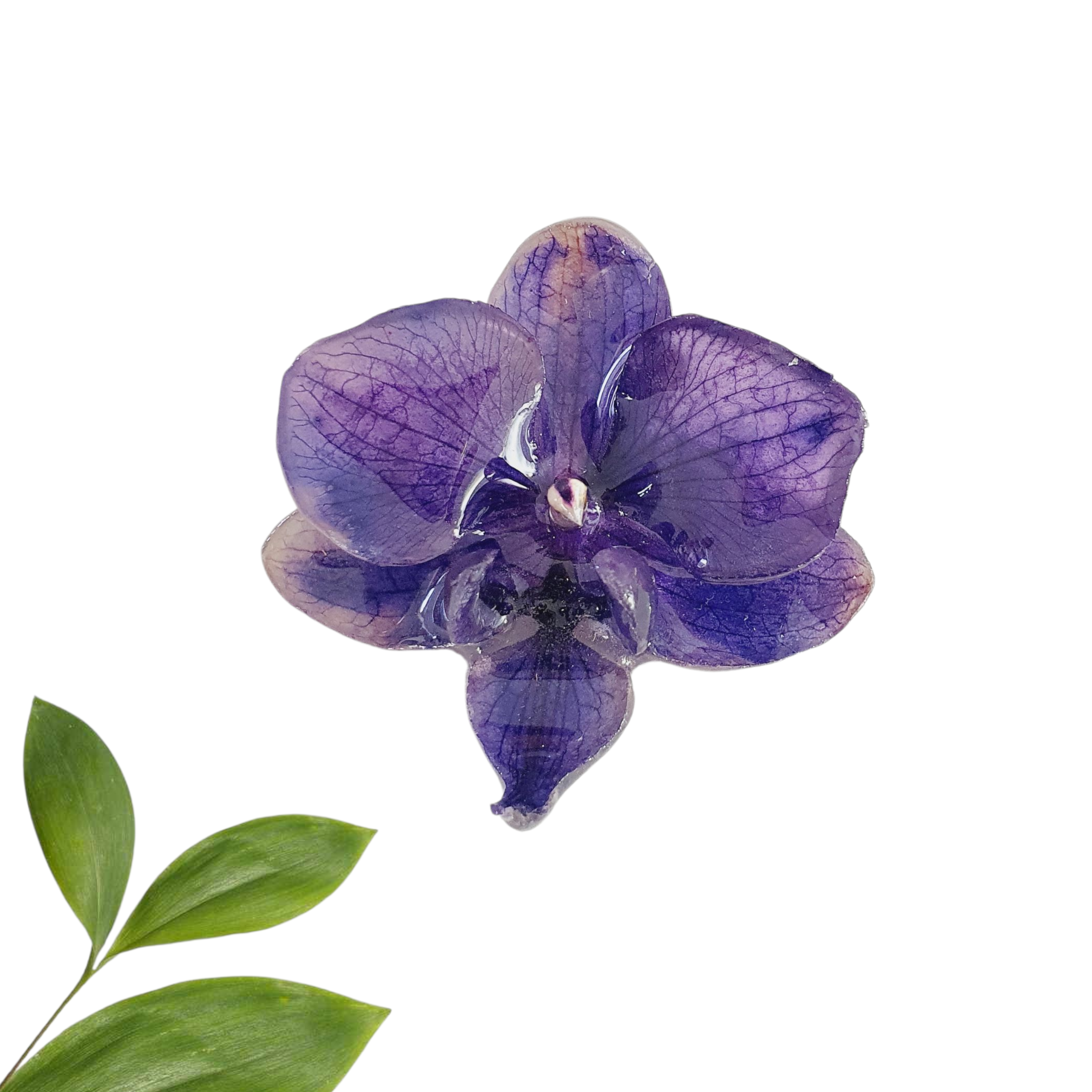 Anillo de Orquidea Phalaenopsis morada